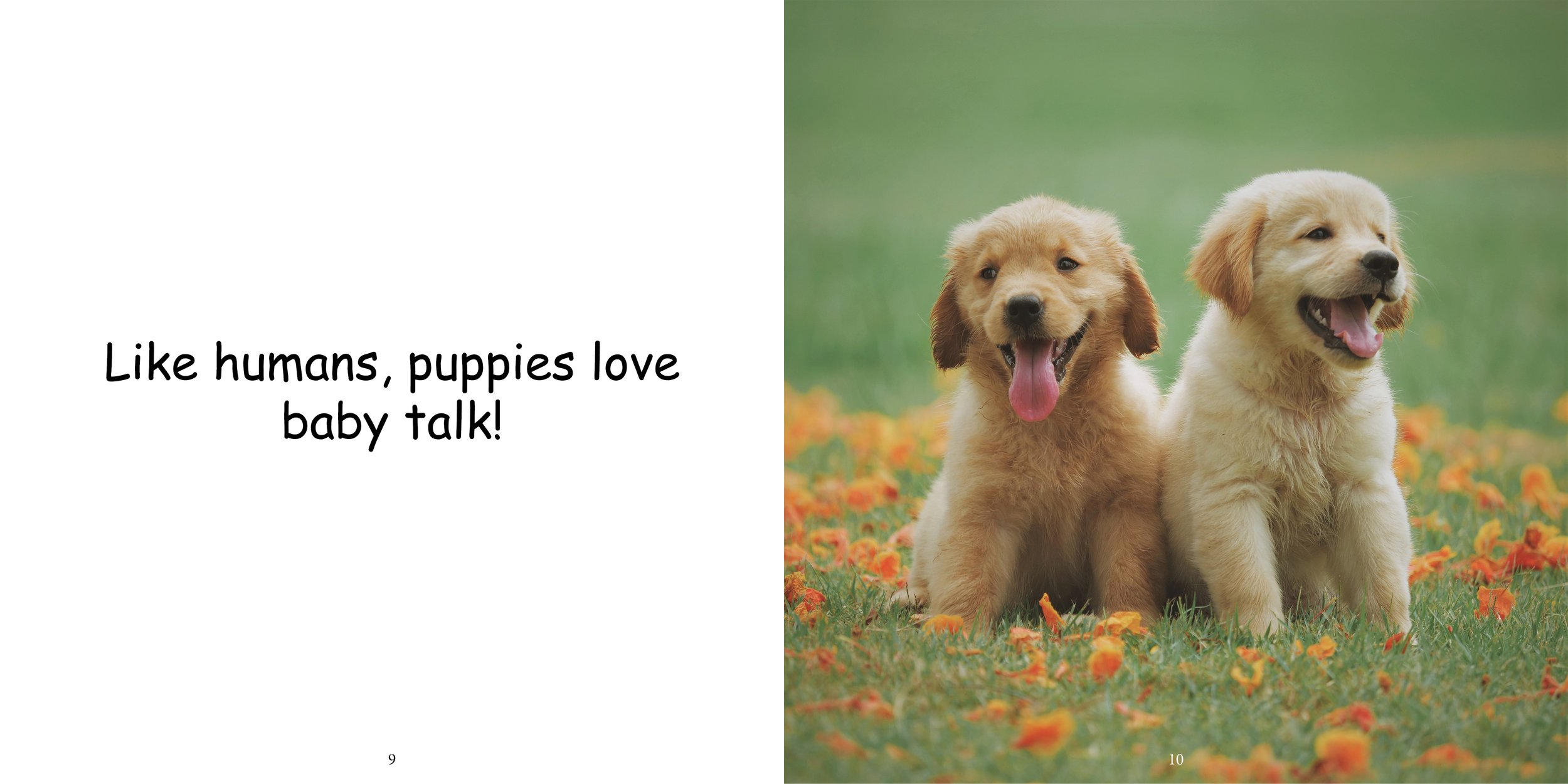 Everything about Puppies - Animal Series10.jpg
