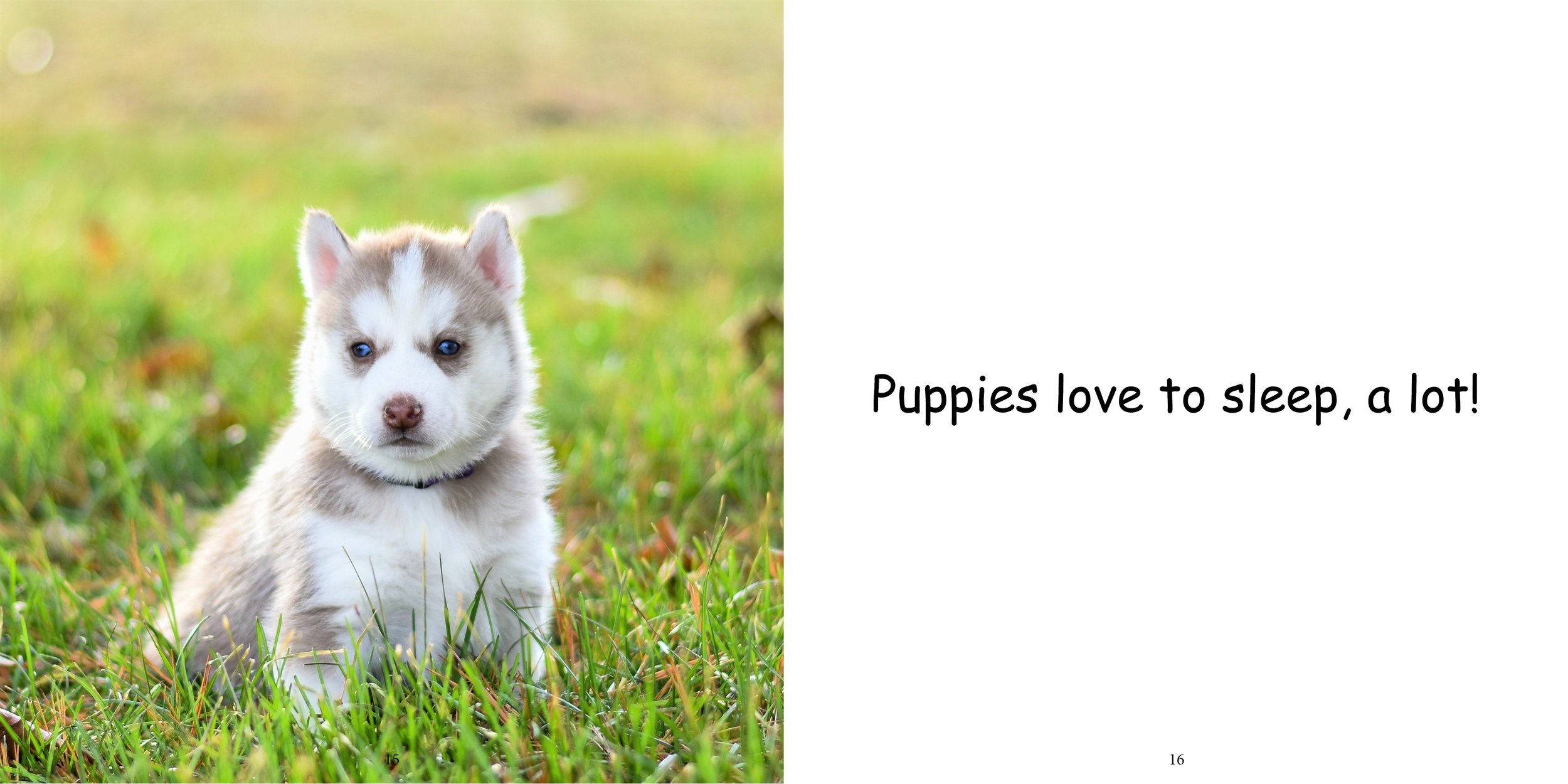 Everything about Puppies - Animal Series13.jpg