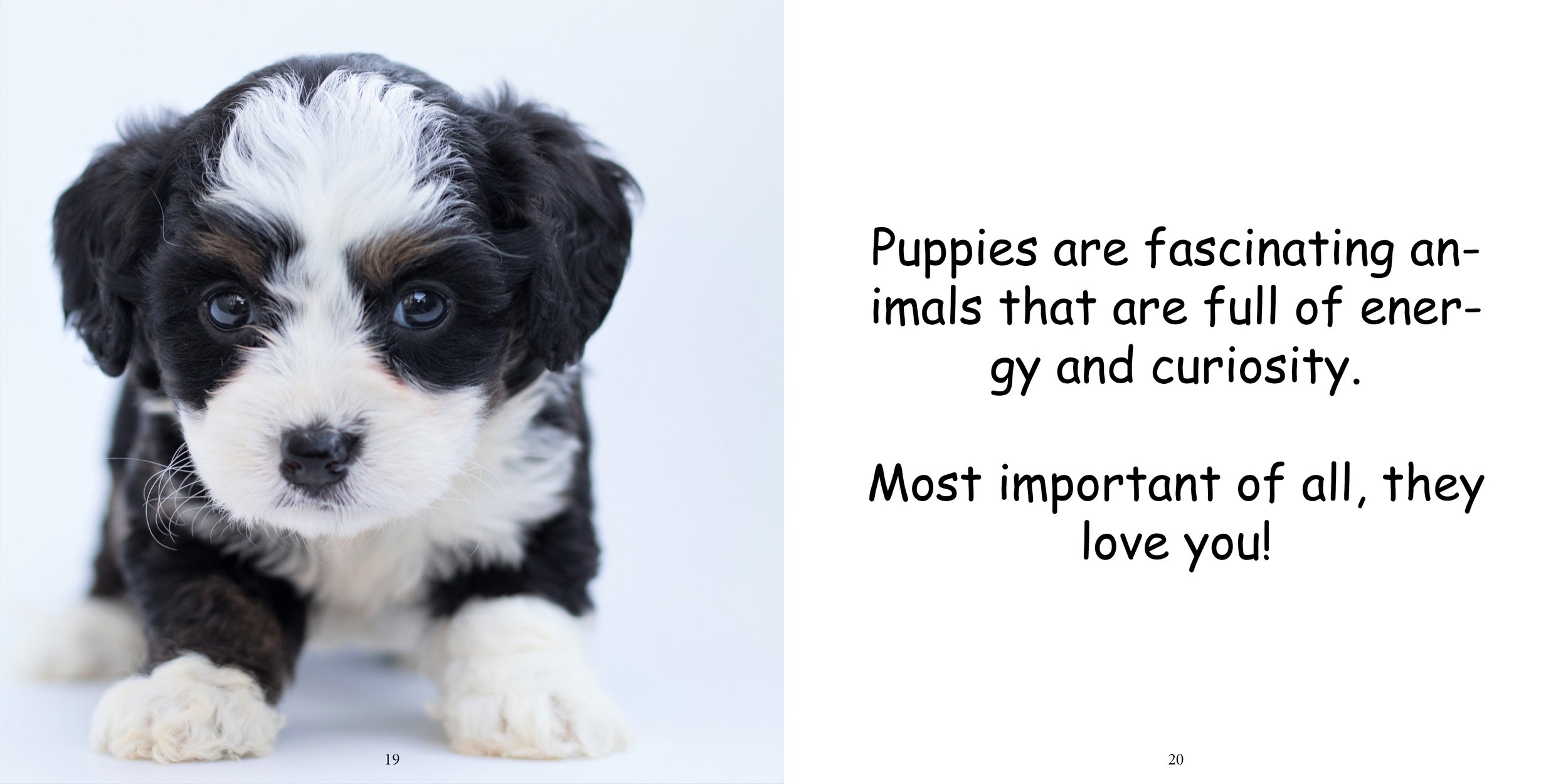 Everything about Puppies - Animal Series15.jpg