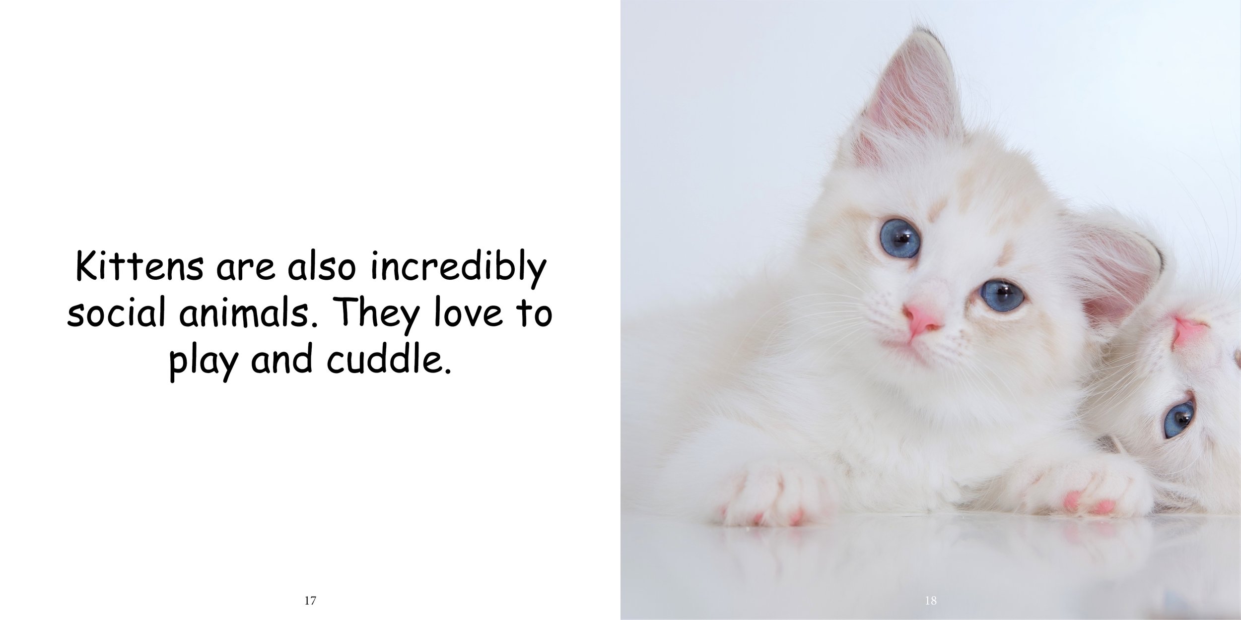 Everything about Kittens - Animal Series14.jpg