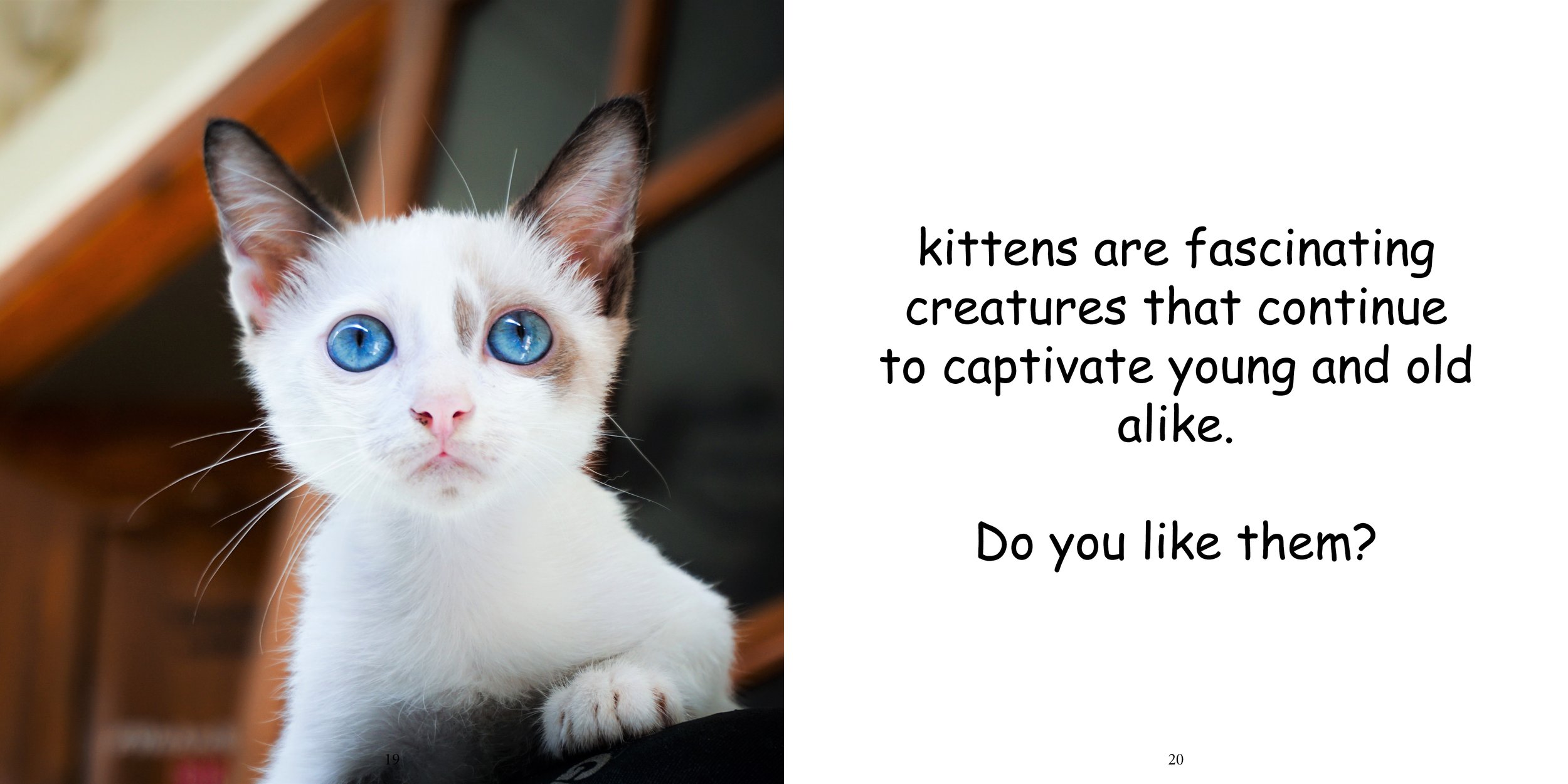 Everything about Kittens - Animal Series15.jpg
