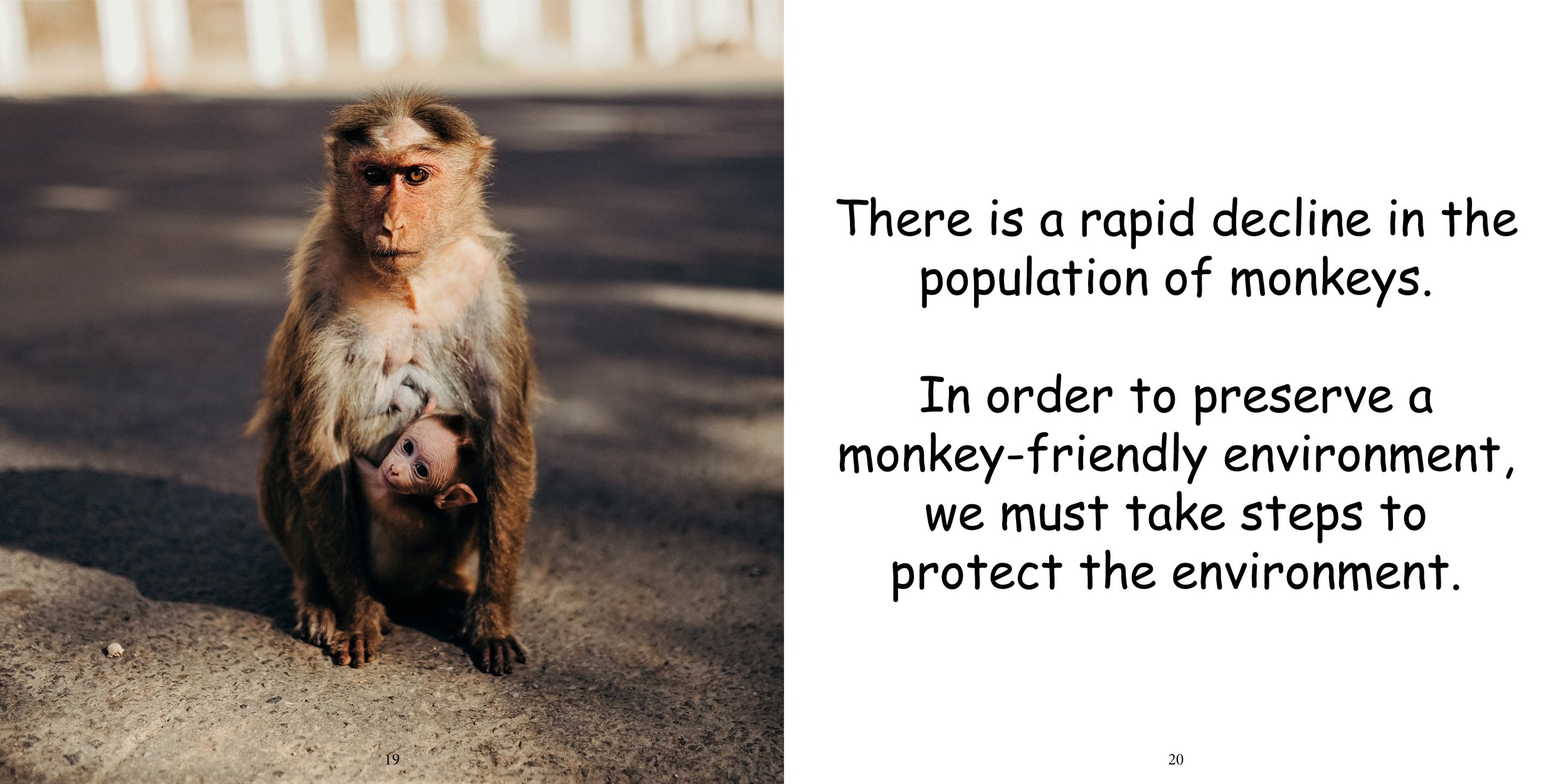 Everything about Monkeys - Animal Series15.jpg