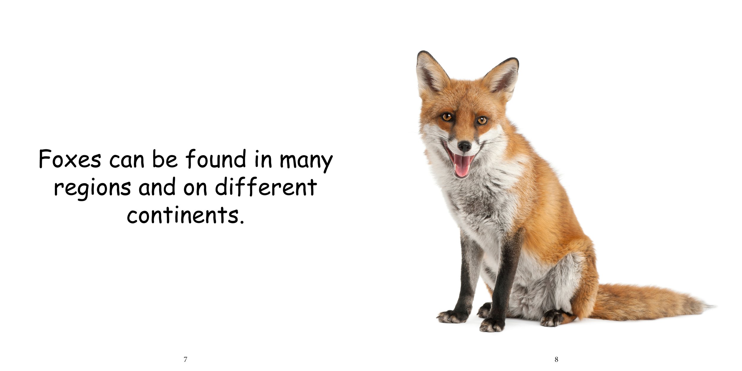Everything about Foxes - Animal Series6.jpg