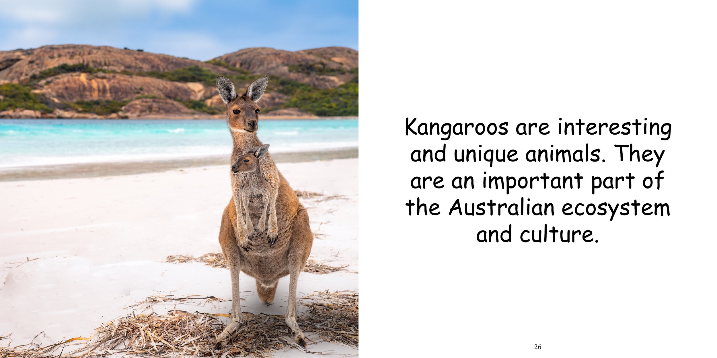 Everything about Kangaroos - Animal Series15.jpg