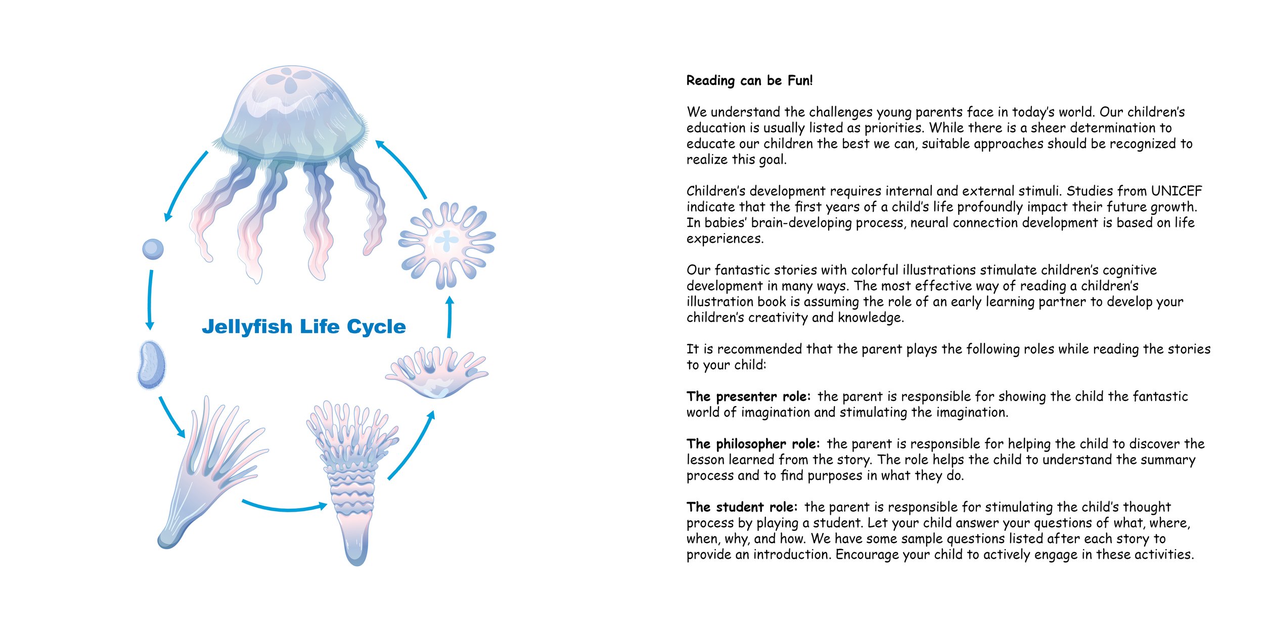 Everything about Jellyfishes - Animal Series3.jpg