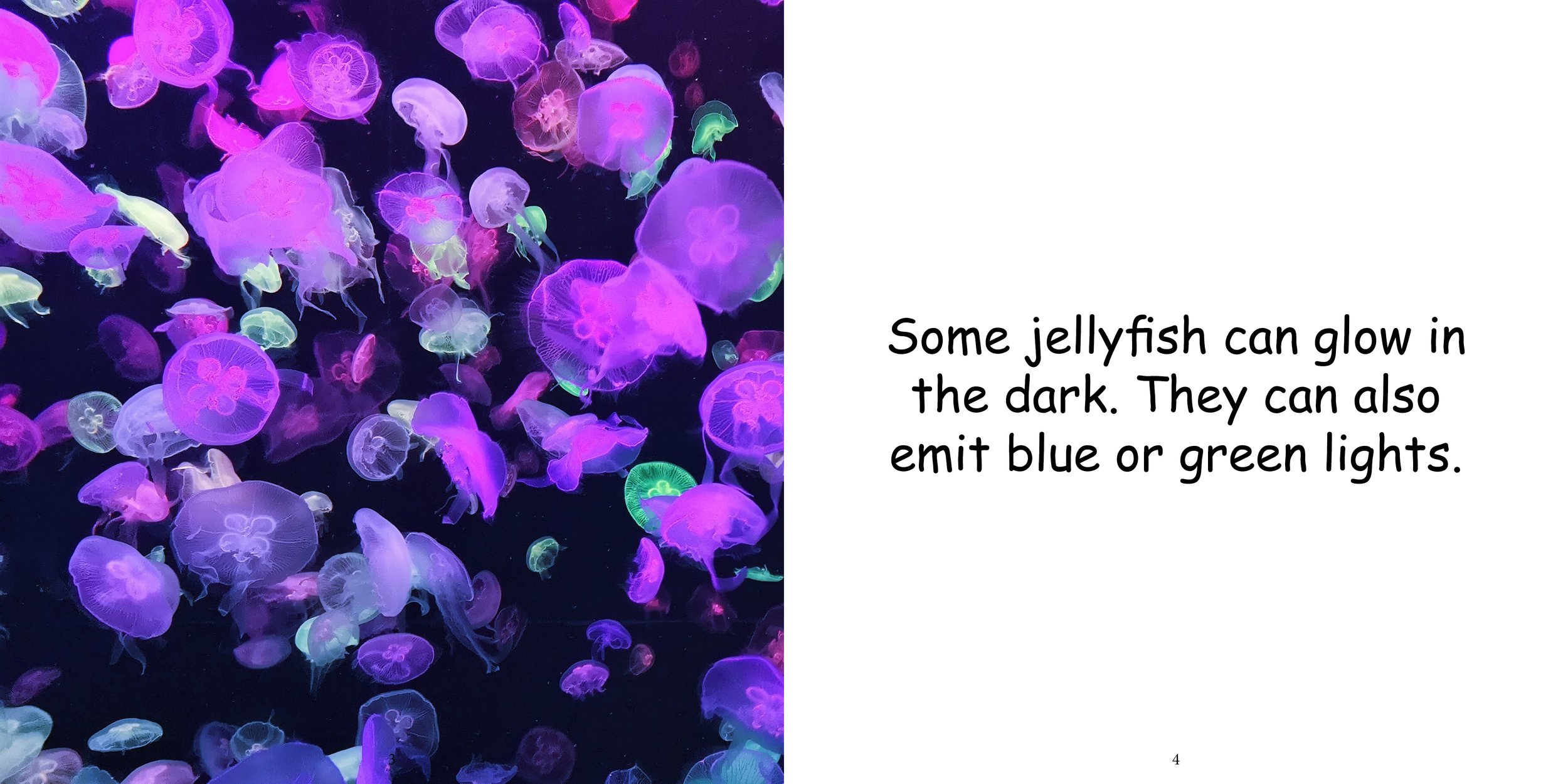 Everything about Jellyfishes - Animal Series6.jpg