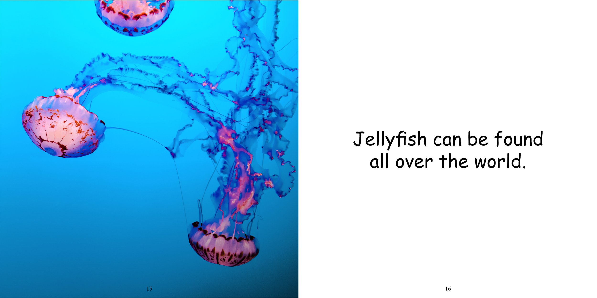 Everything about Jellyfishes - Animal Series12.jpg