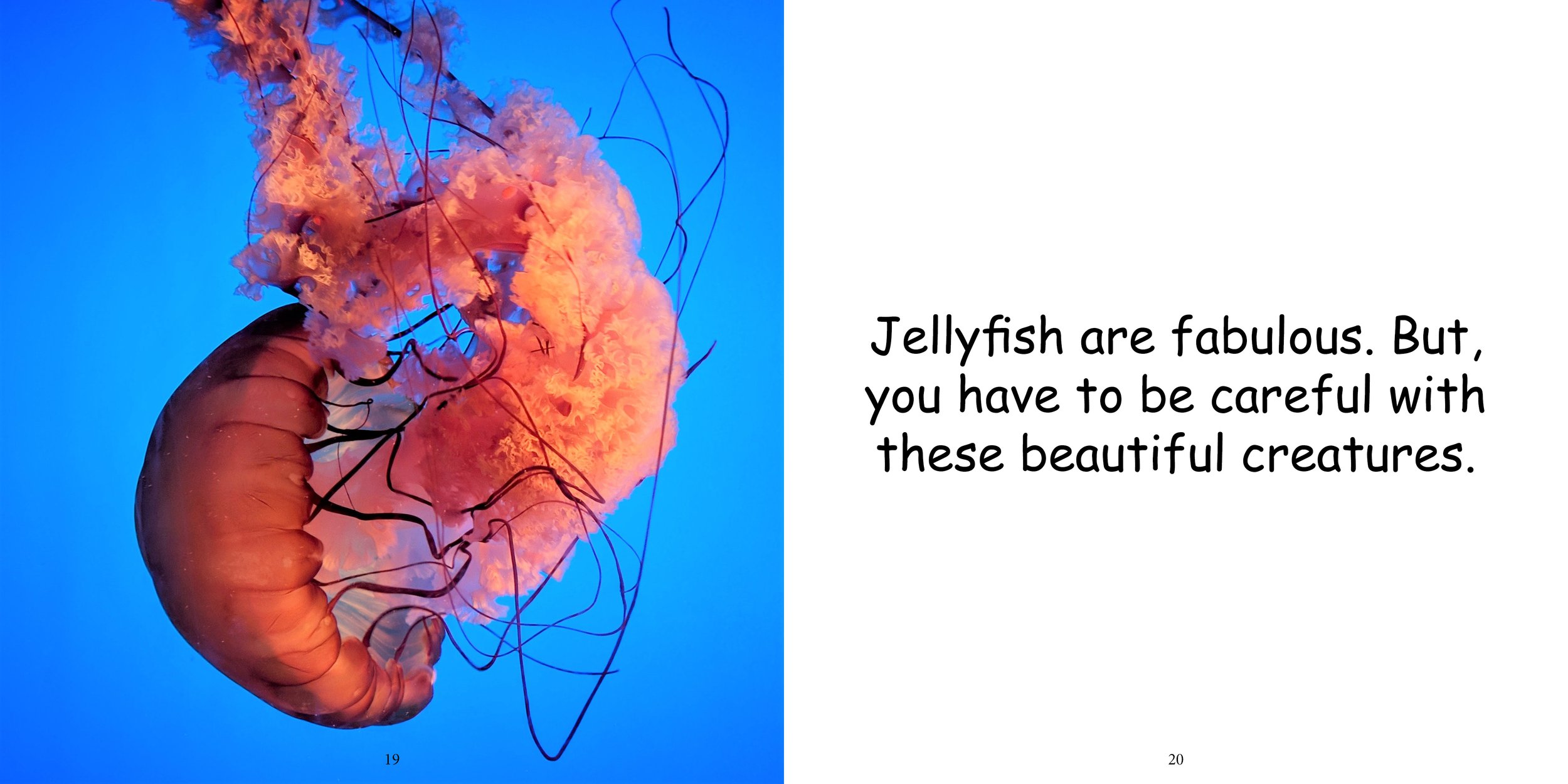 Everything about Jellyfishes - Animal Series14.jpg