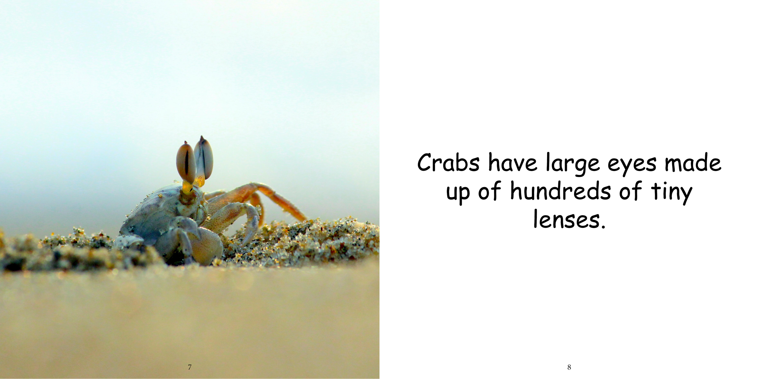 Everything about Crabs - Animal Series8.png