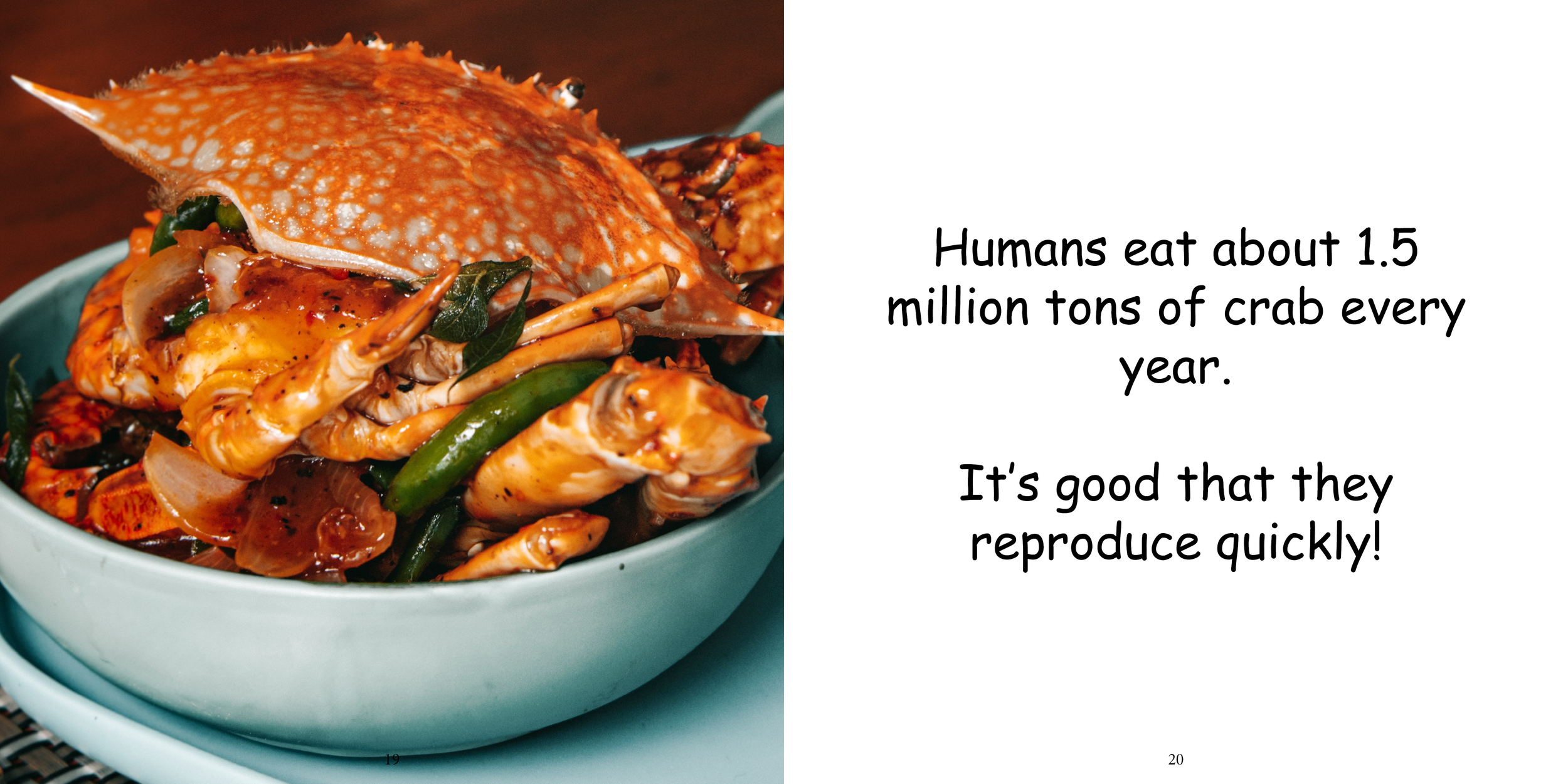 Everything about Crabs - Animal Series14.png
