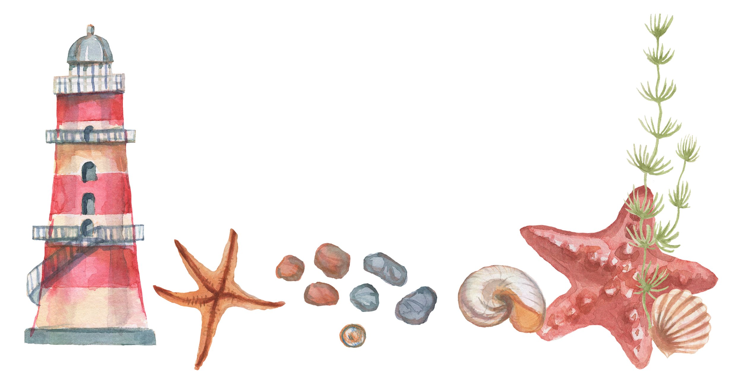 Everything about Starfish - Animal Series2.jpg