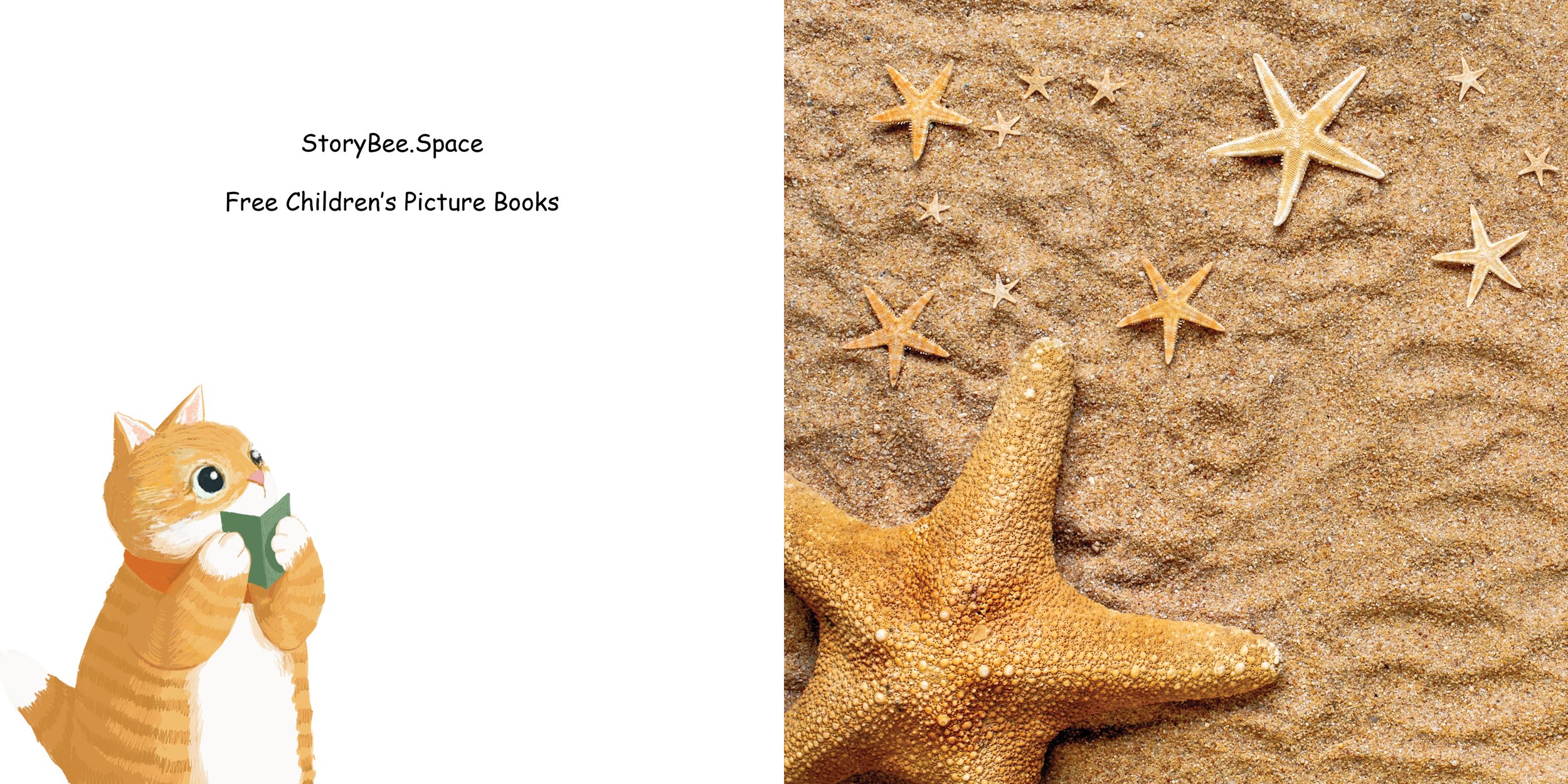 Everything about Starfish - Animal Series16.jpg