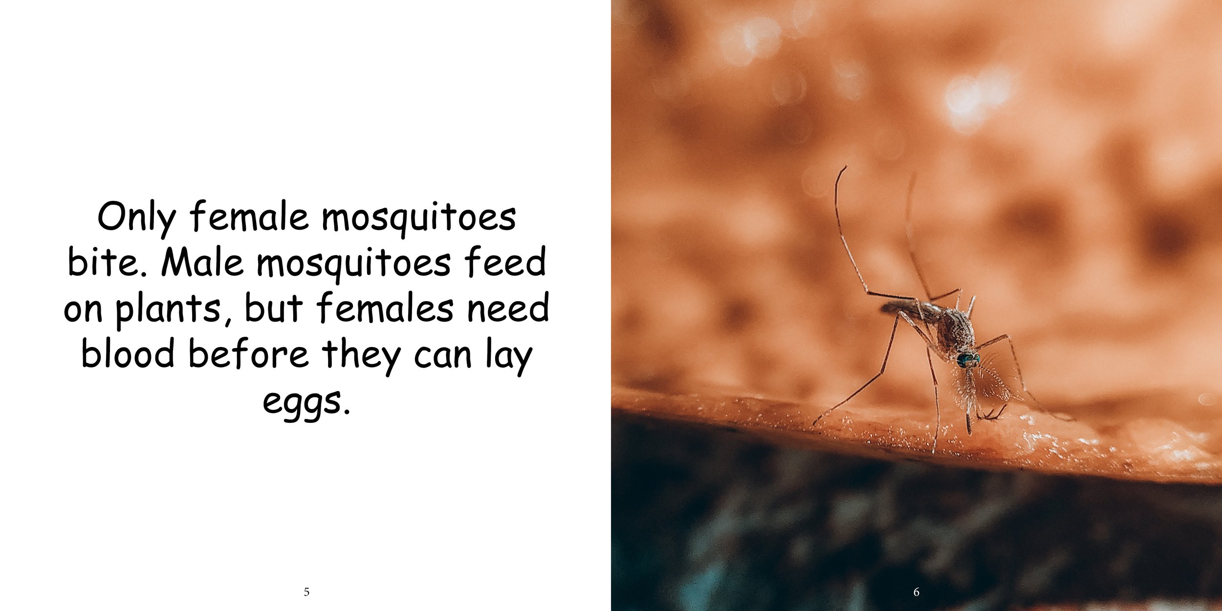 Everything about Mosquitos - Animal Series7.jpg