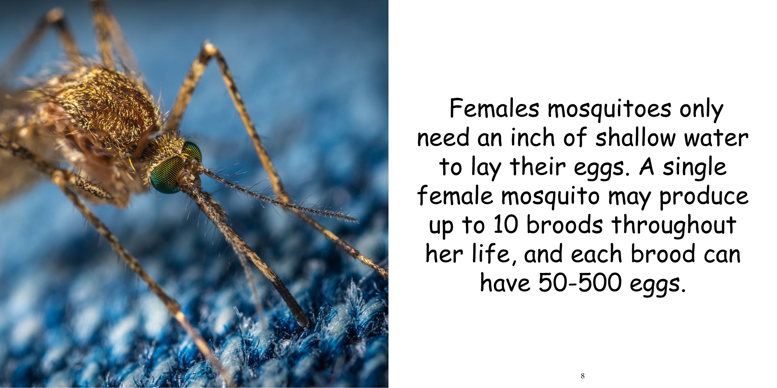 Everything about Mosquitos - Animal Series8.jpg