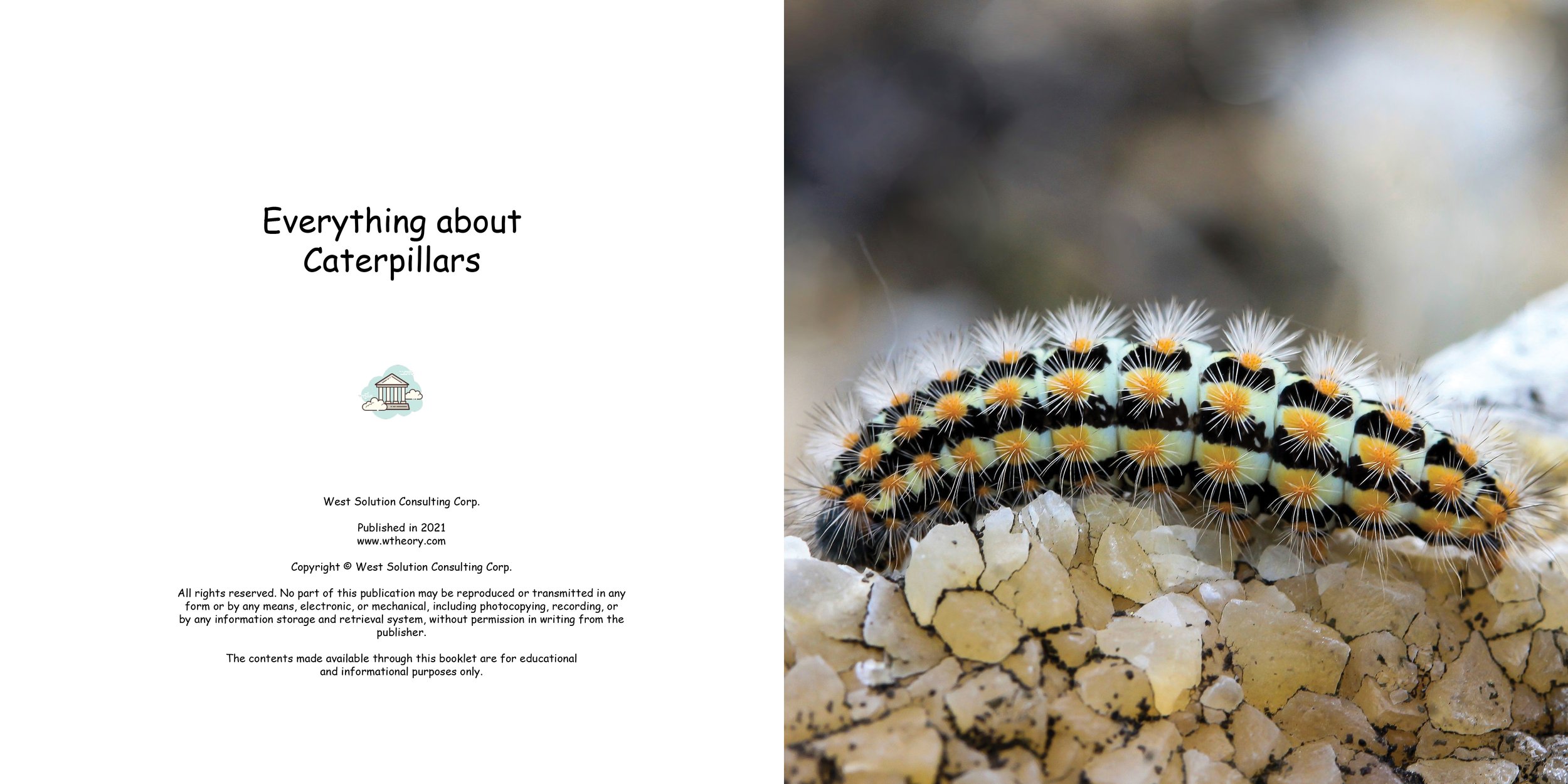 Everything about Caterpillars - Animal Series2.jpg