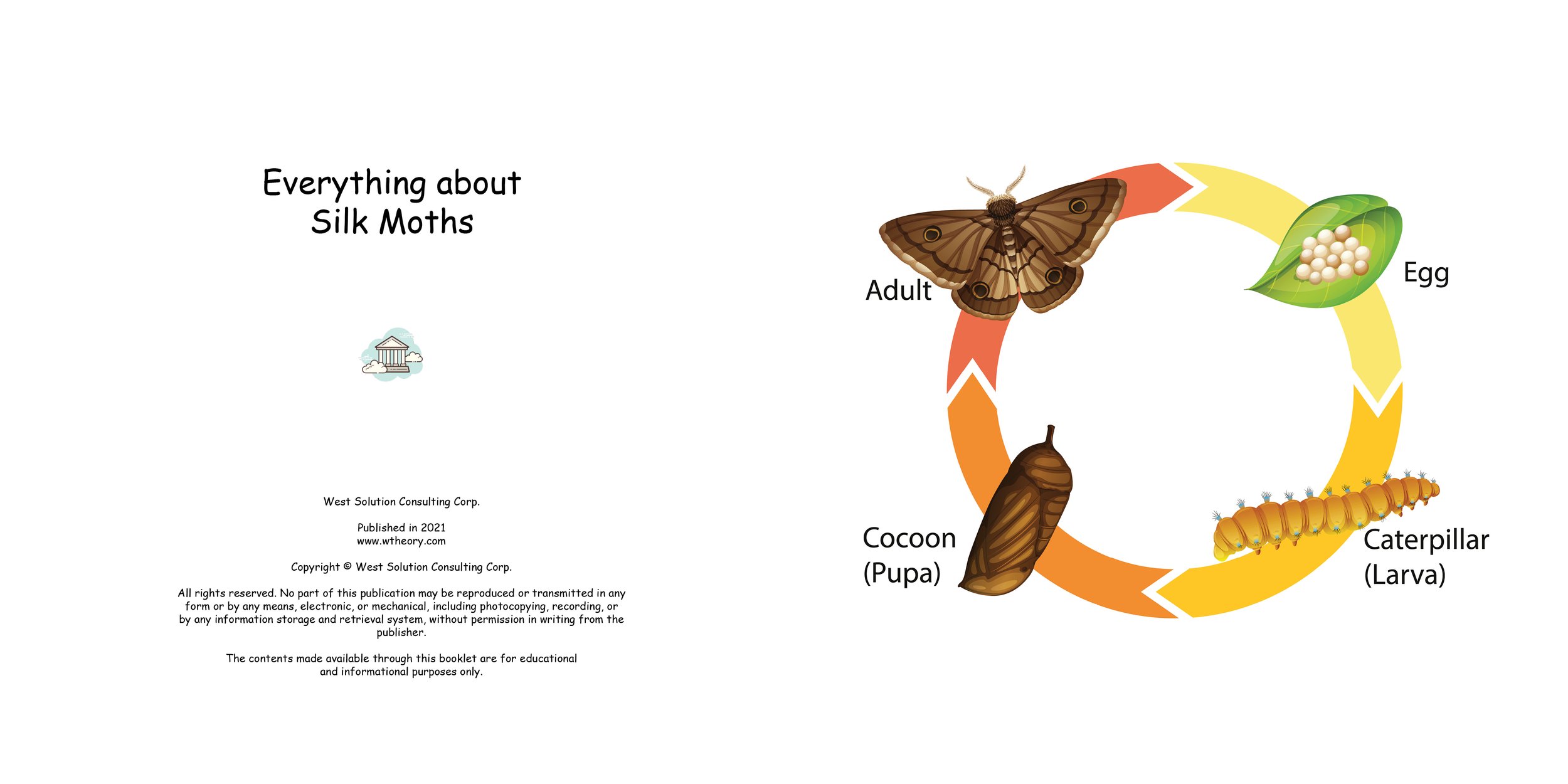 Everything about Silk Moths - Animal Series2.jpg