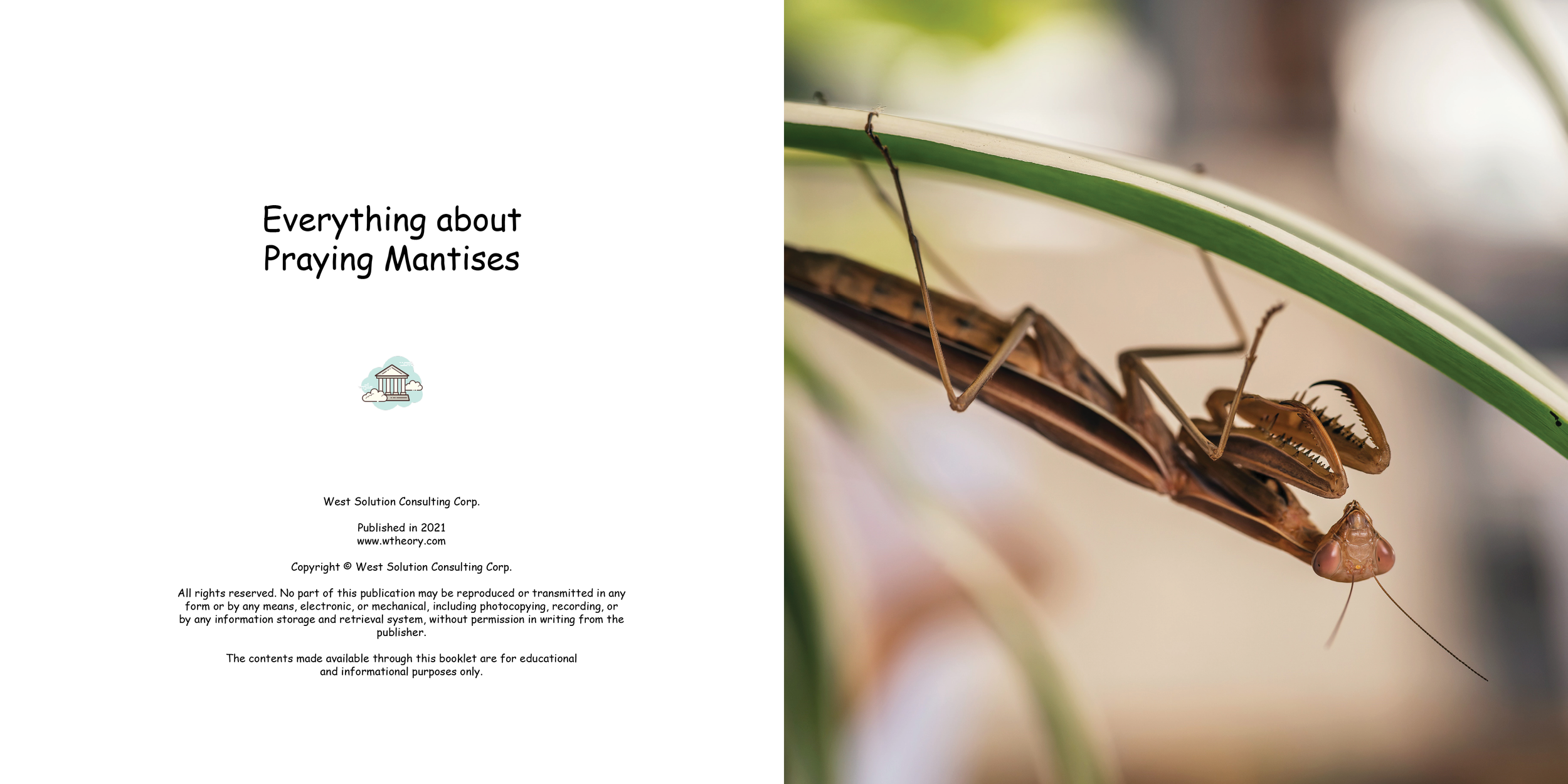 Everything about Praying Mantises - Animal Series2.png