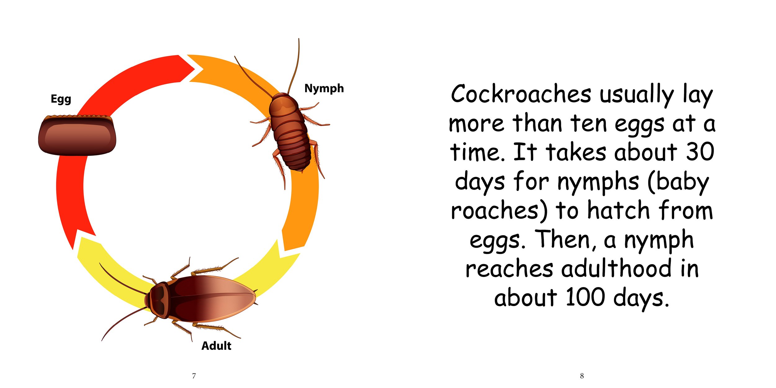 Everything about Cockroaches - Animal Series9.jpg