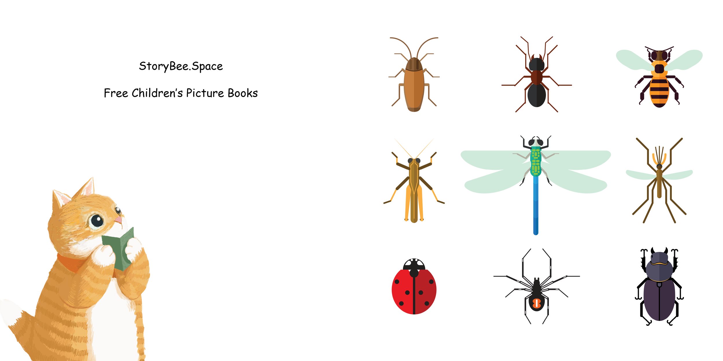Everything about Cockroaches - Animal Series16.jpg