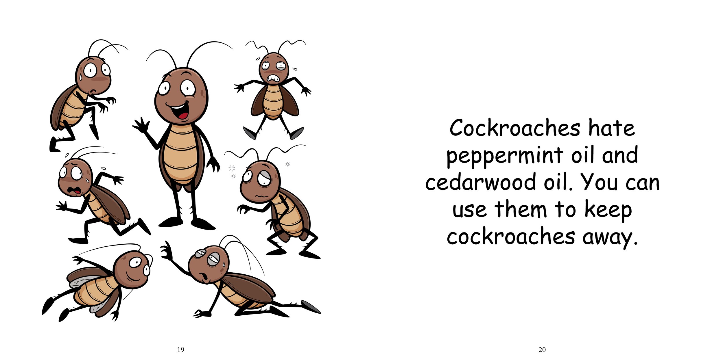 Everything about Cockroaches - Animal Series15.jpg