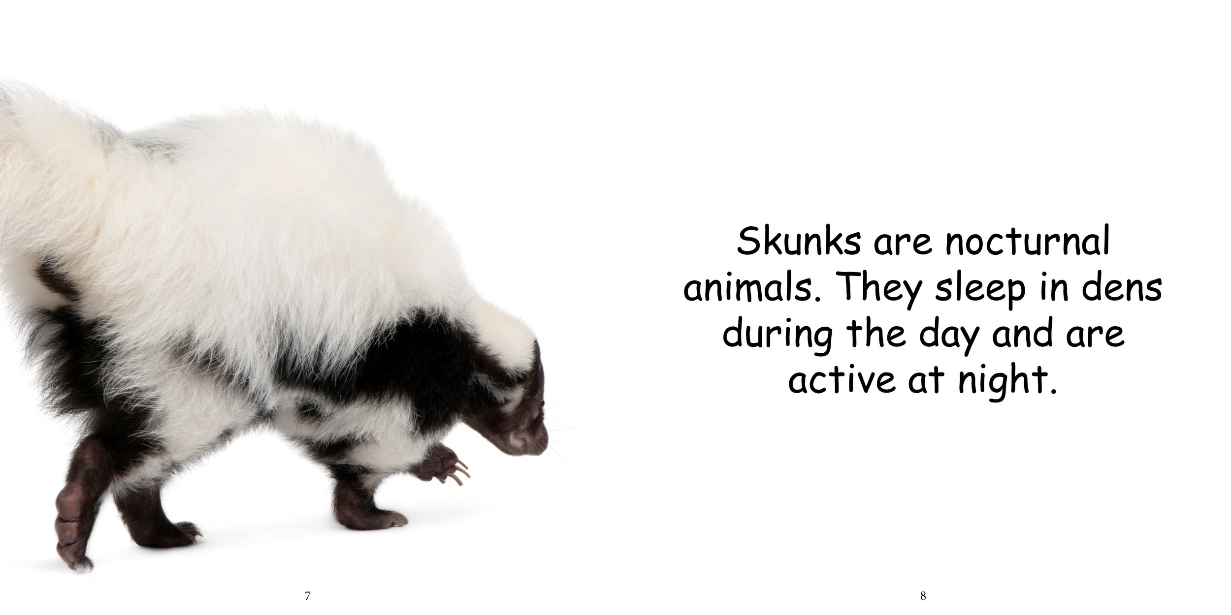 Everything about Skunks8.jpg