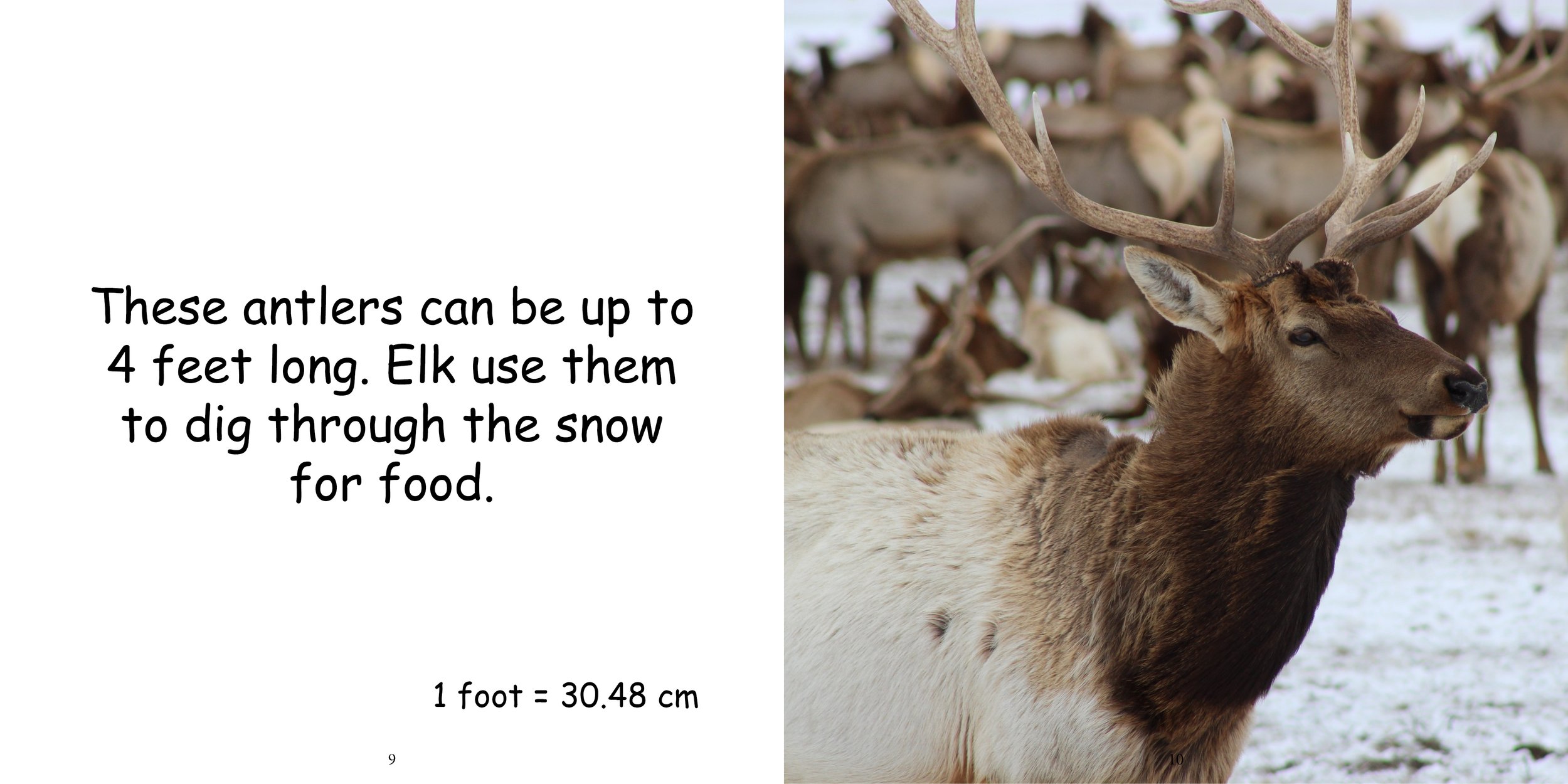 Everything about Elk9.jpg