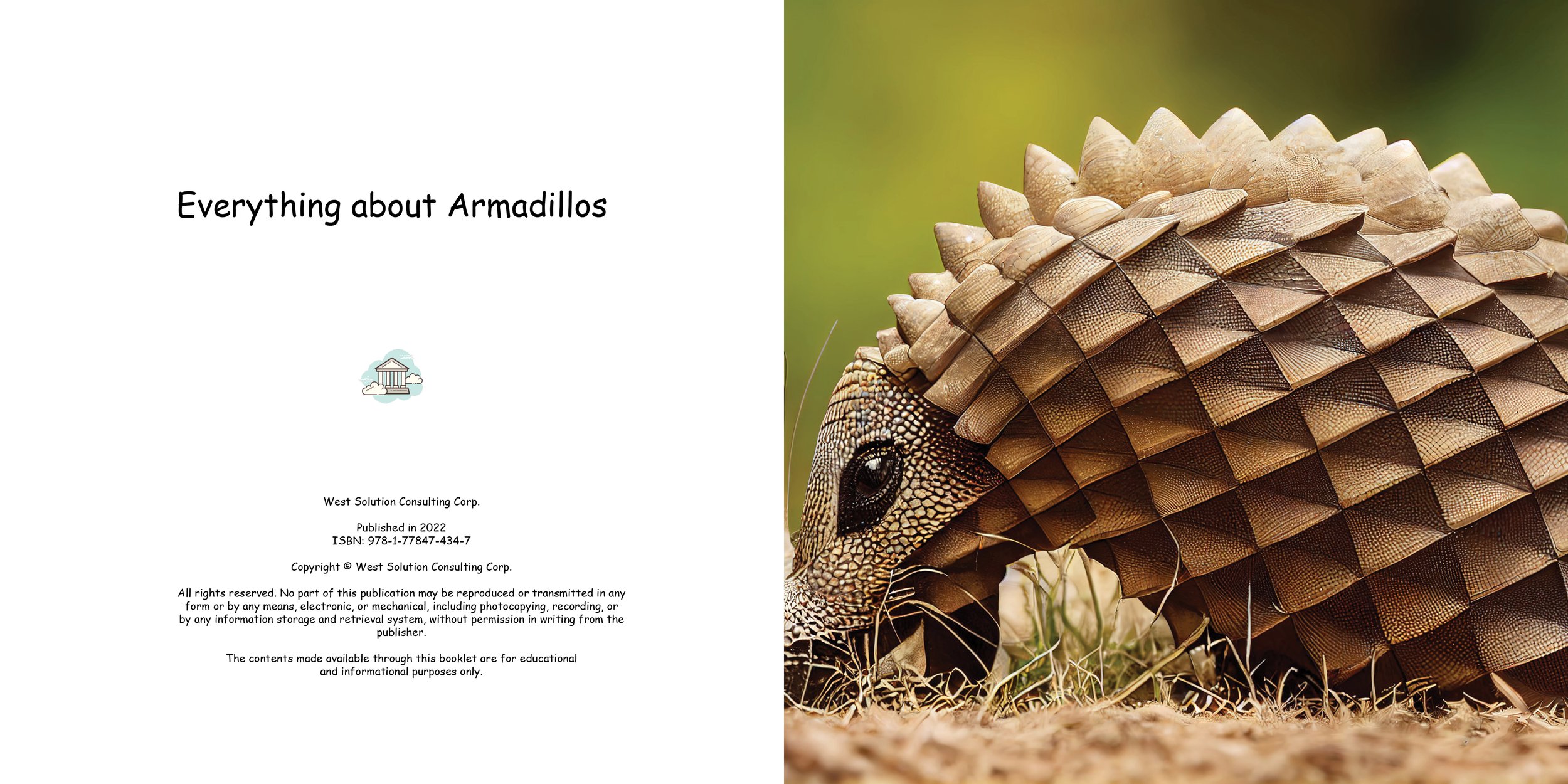 Everything about Armadillo2.jpg