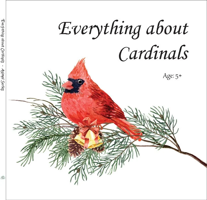 Everything about Cardinals_Page_01.jpg