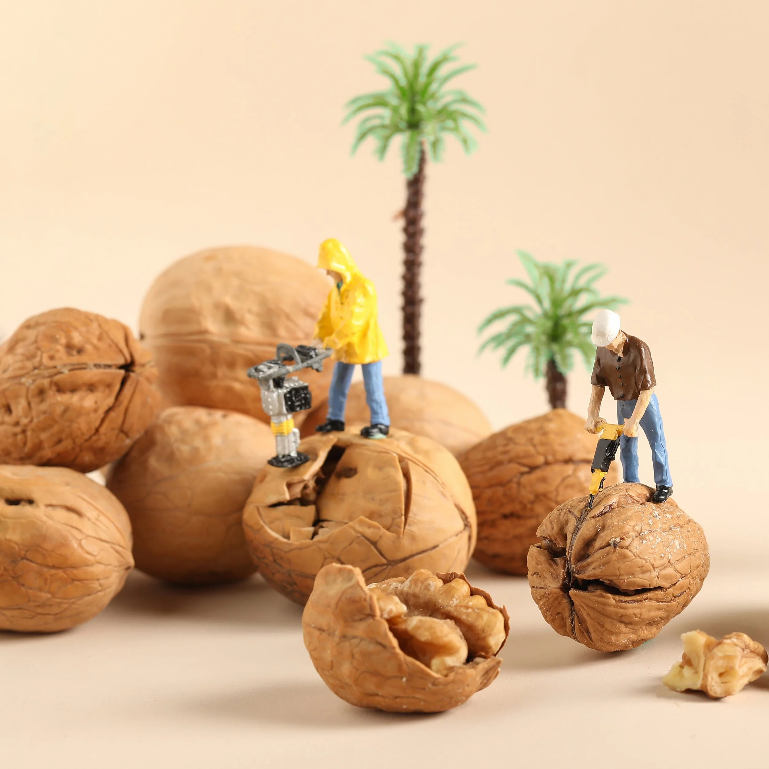 Learn New Words with Karen & Joe Nuts.jpg