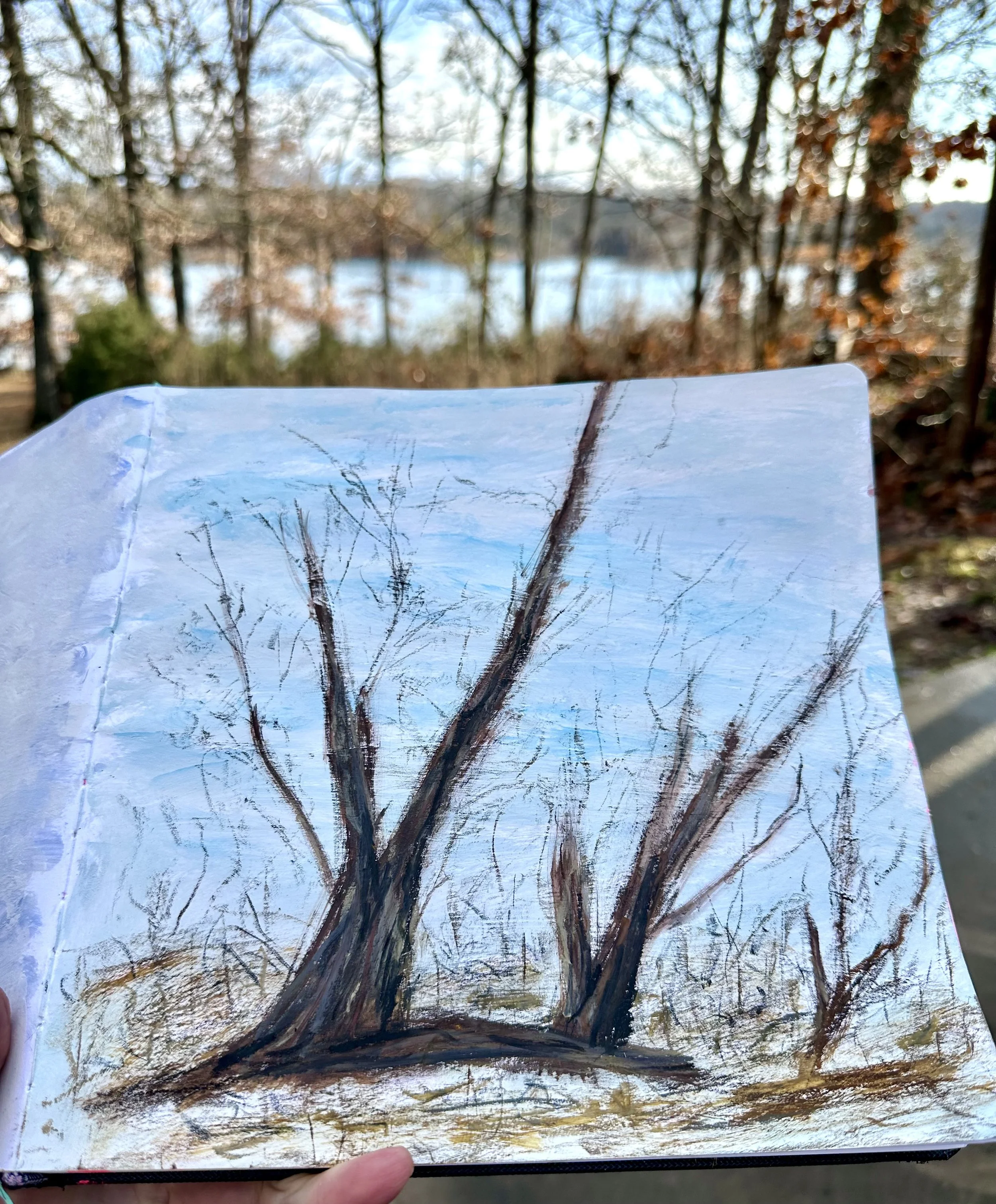 Winter skies and trees