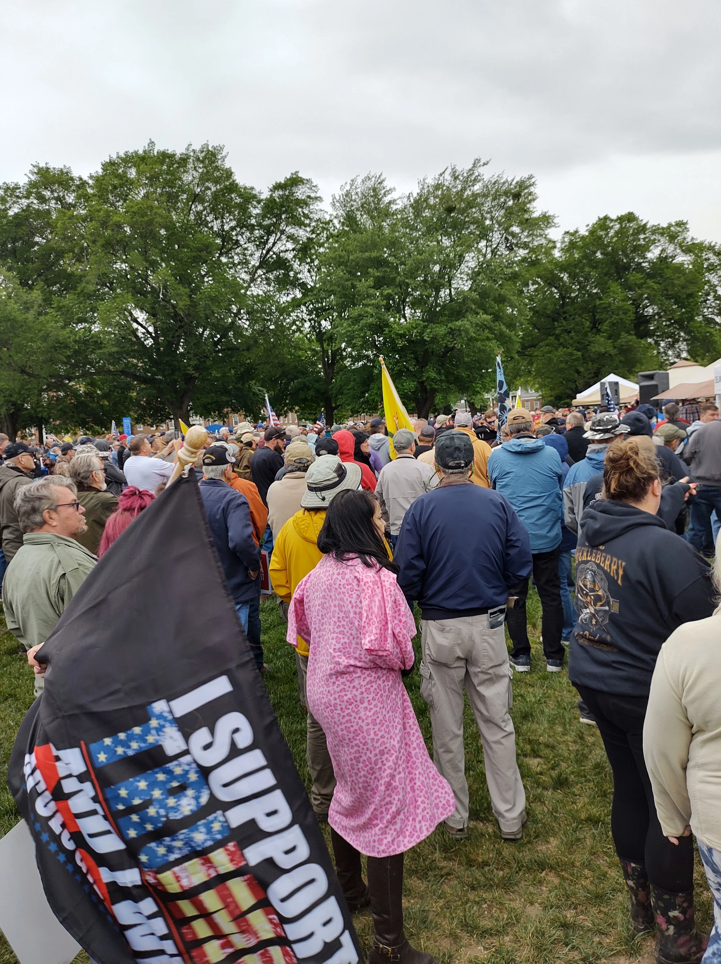 Rally for Gun Rights
