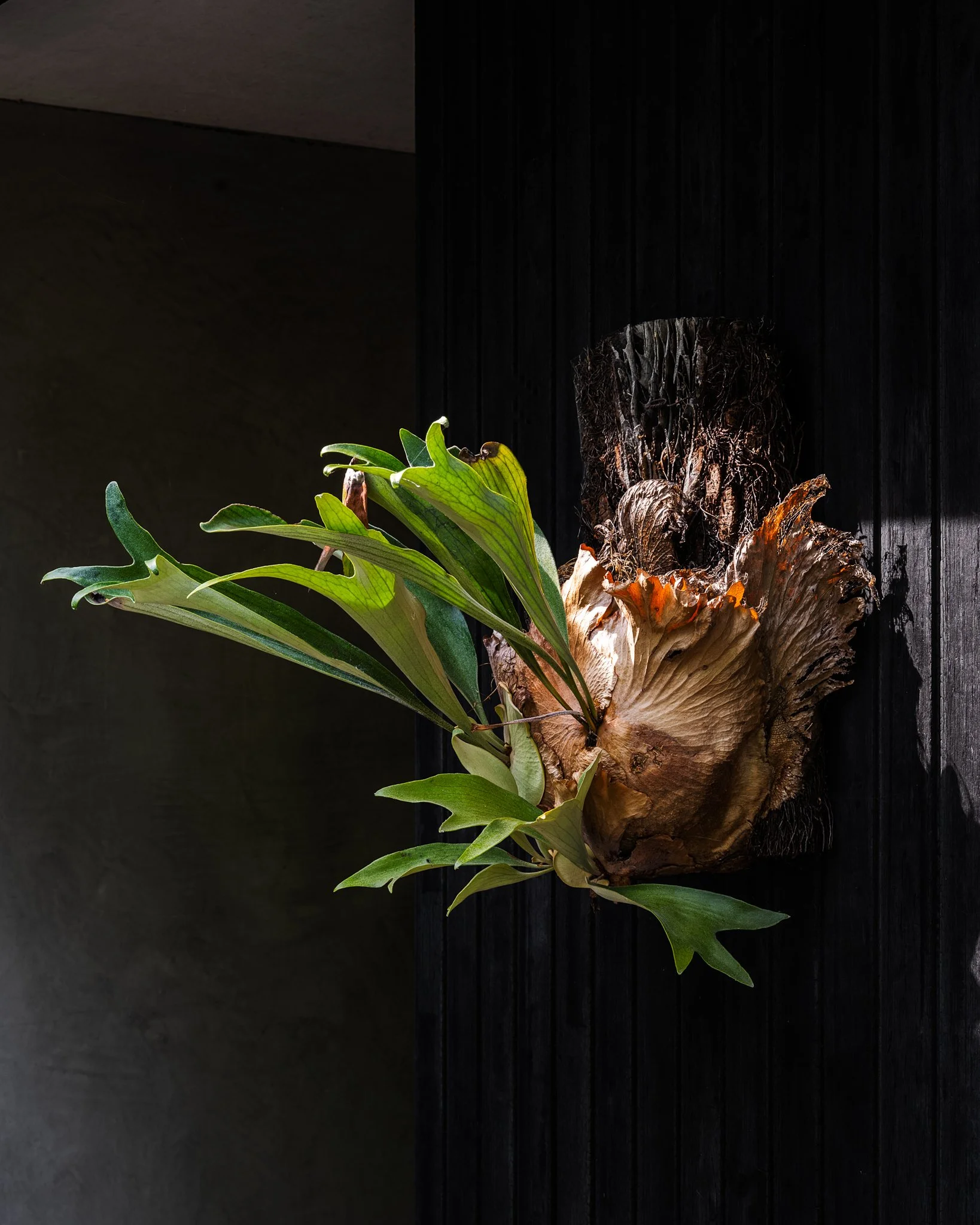 _DSC3751-HDR-Edit.jpg