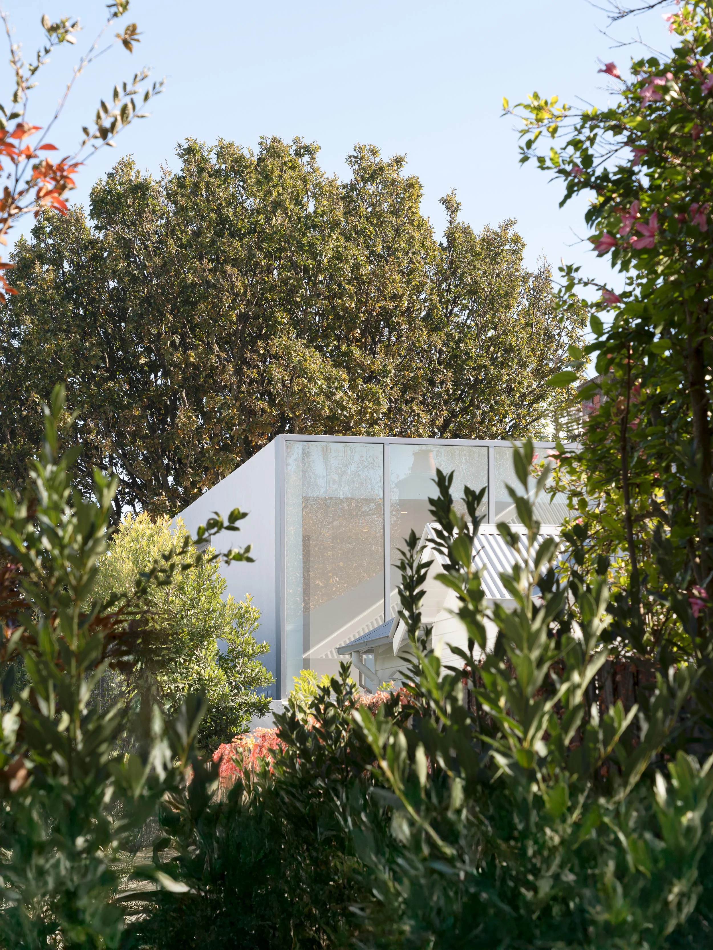 A modern house with large glass windows surrounded by lush green trees and bushes, with a clear blue sky overhead.