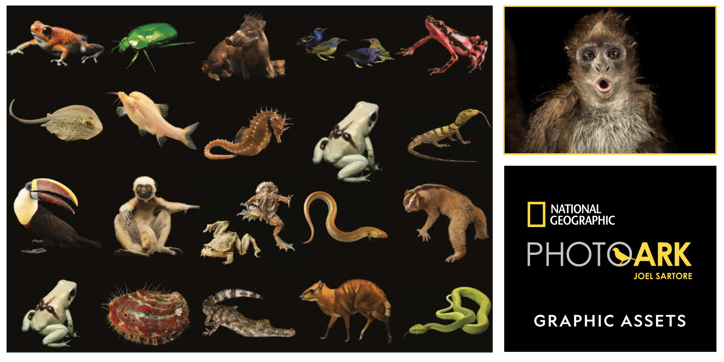 Screen Shot 2021-05-10 at 9.24.30 PM.png