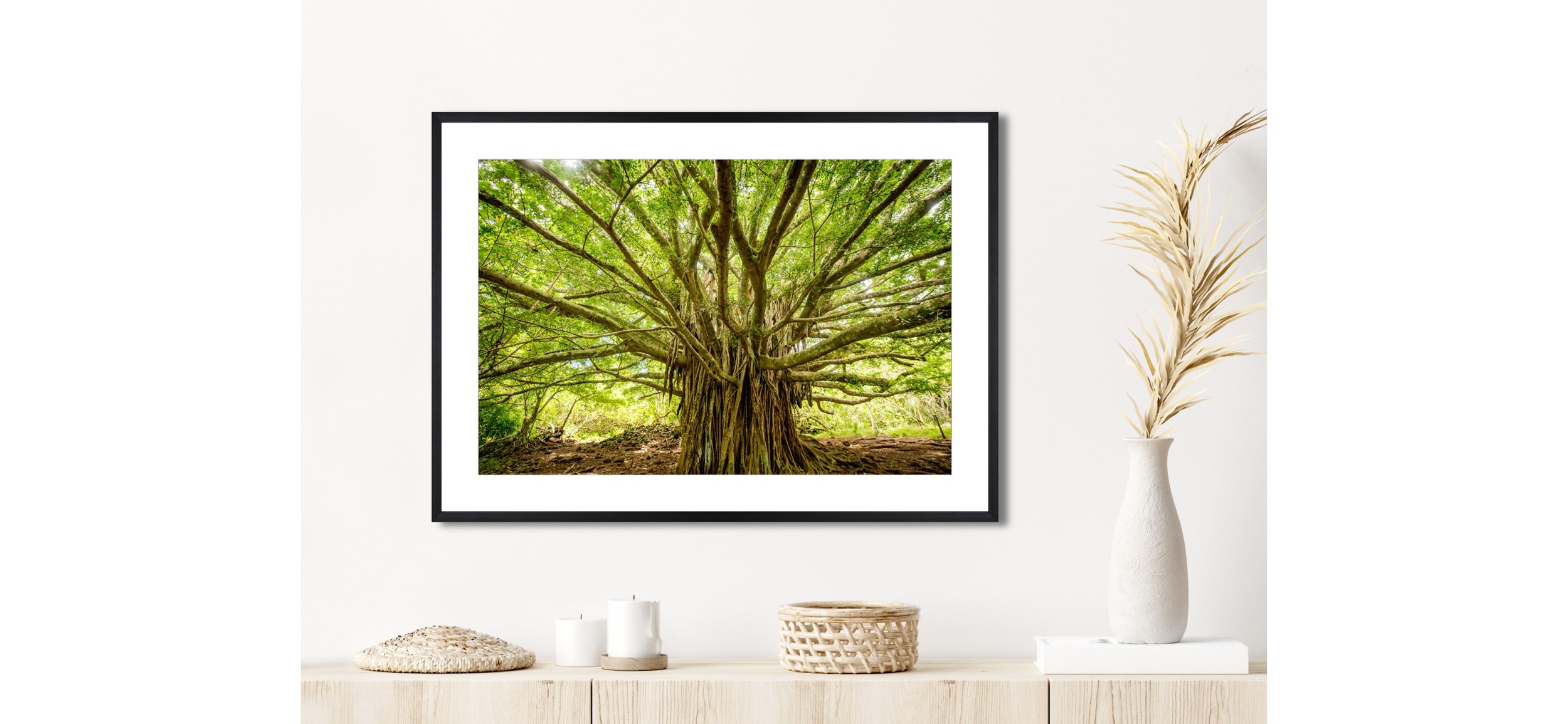 Magical Maui Tree_on the wall.jpeg