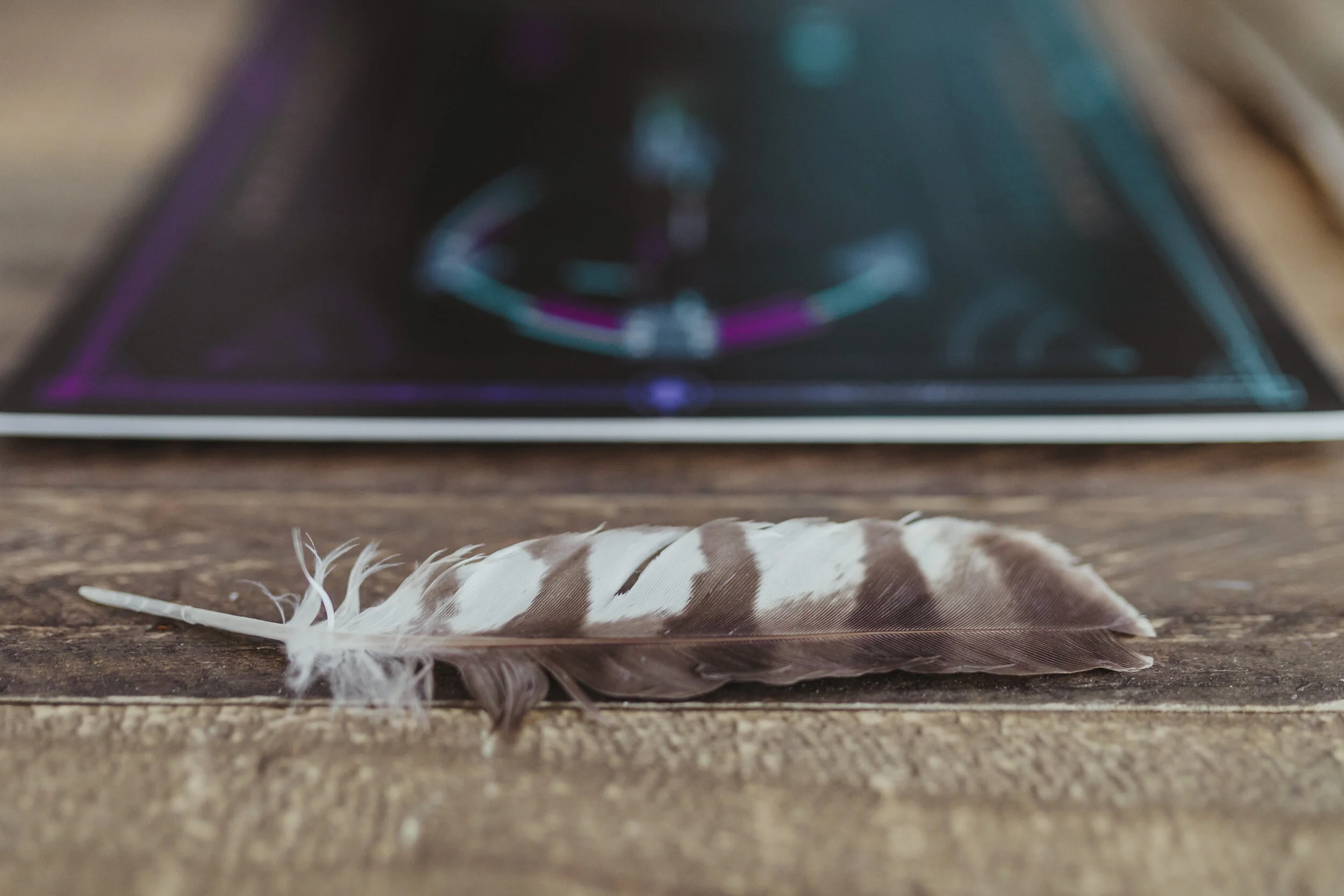 BrittNemethHDProductPhotos-61 (1).jpg