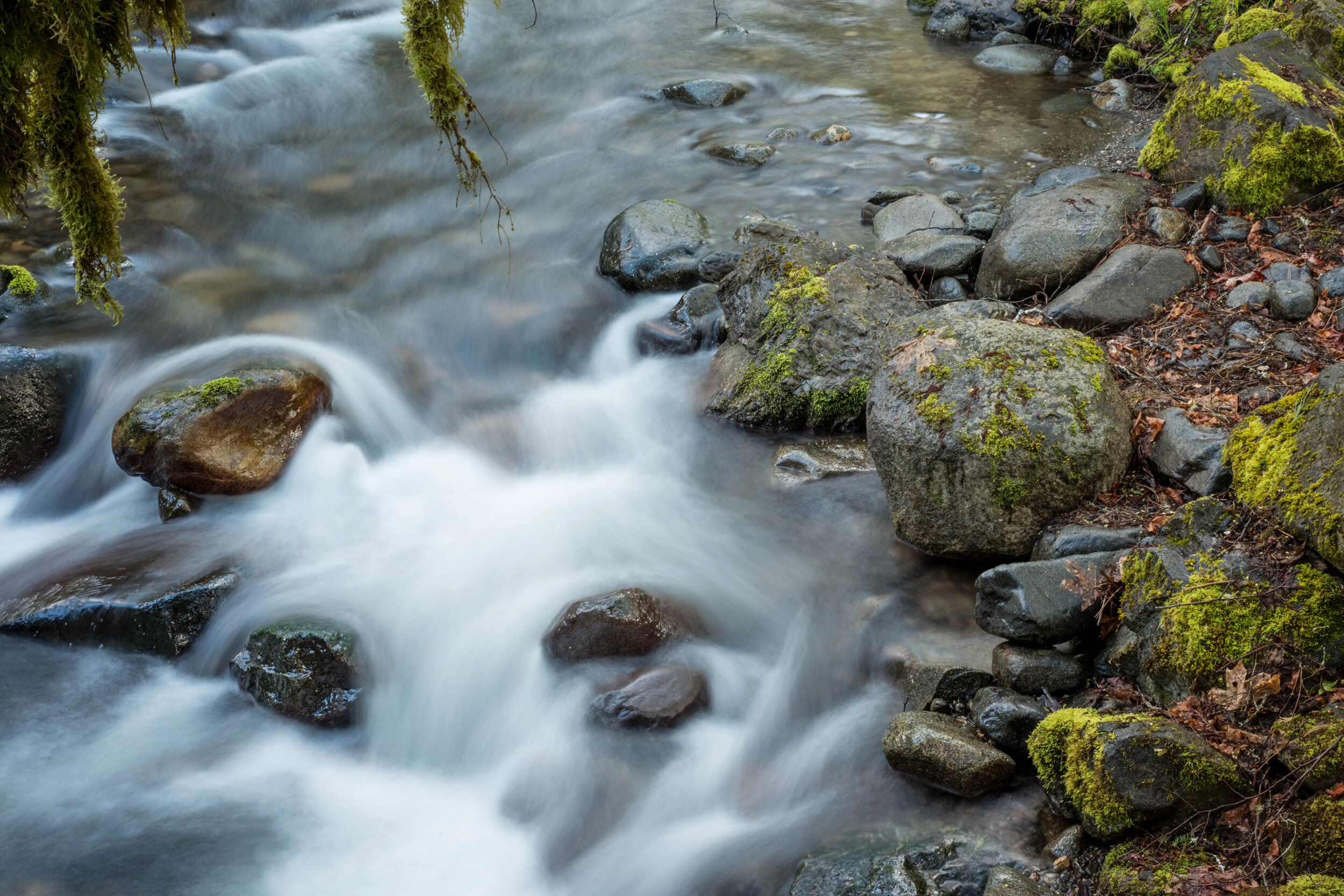 DSC_5809.jpg