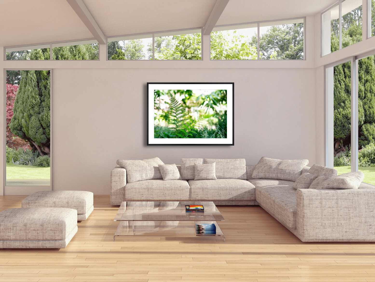 Fern Magic on Wall.jpg