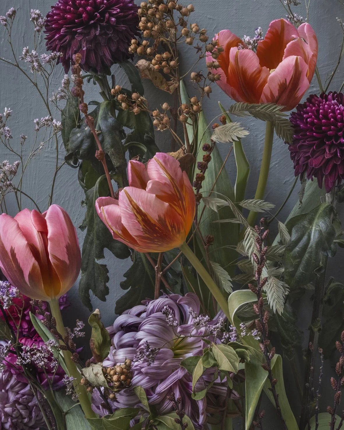 Dear Spring 2026 After A Long Winter Tulips Like Pretty Princess Is A Joyful Beauty To See