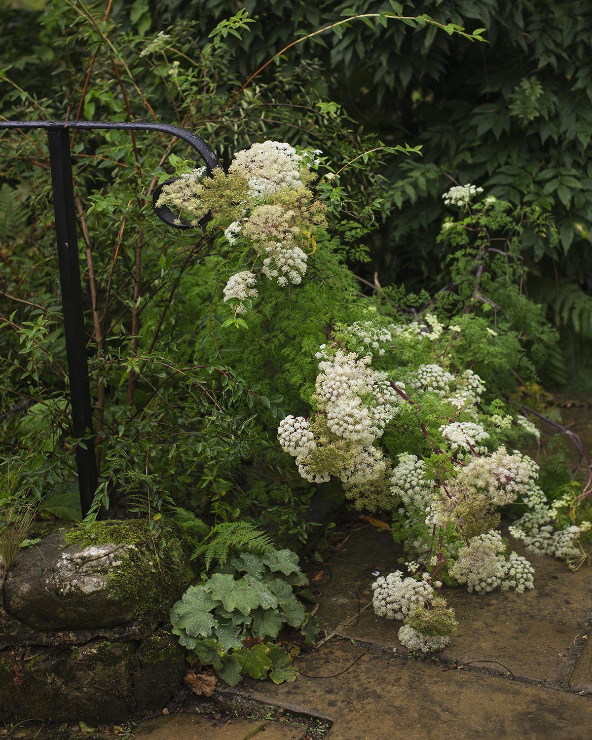 GM 091A5112.jpg