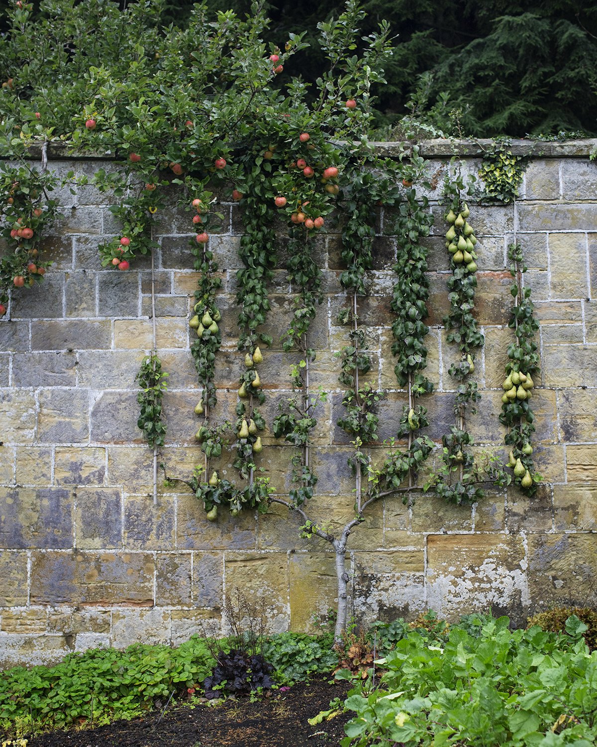 GravetyeManor_2025_091A5178.jpg