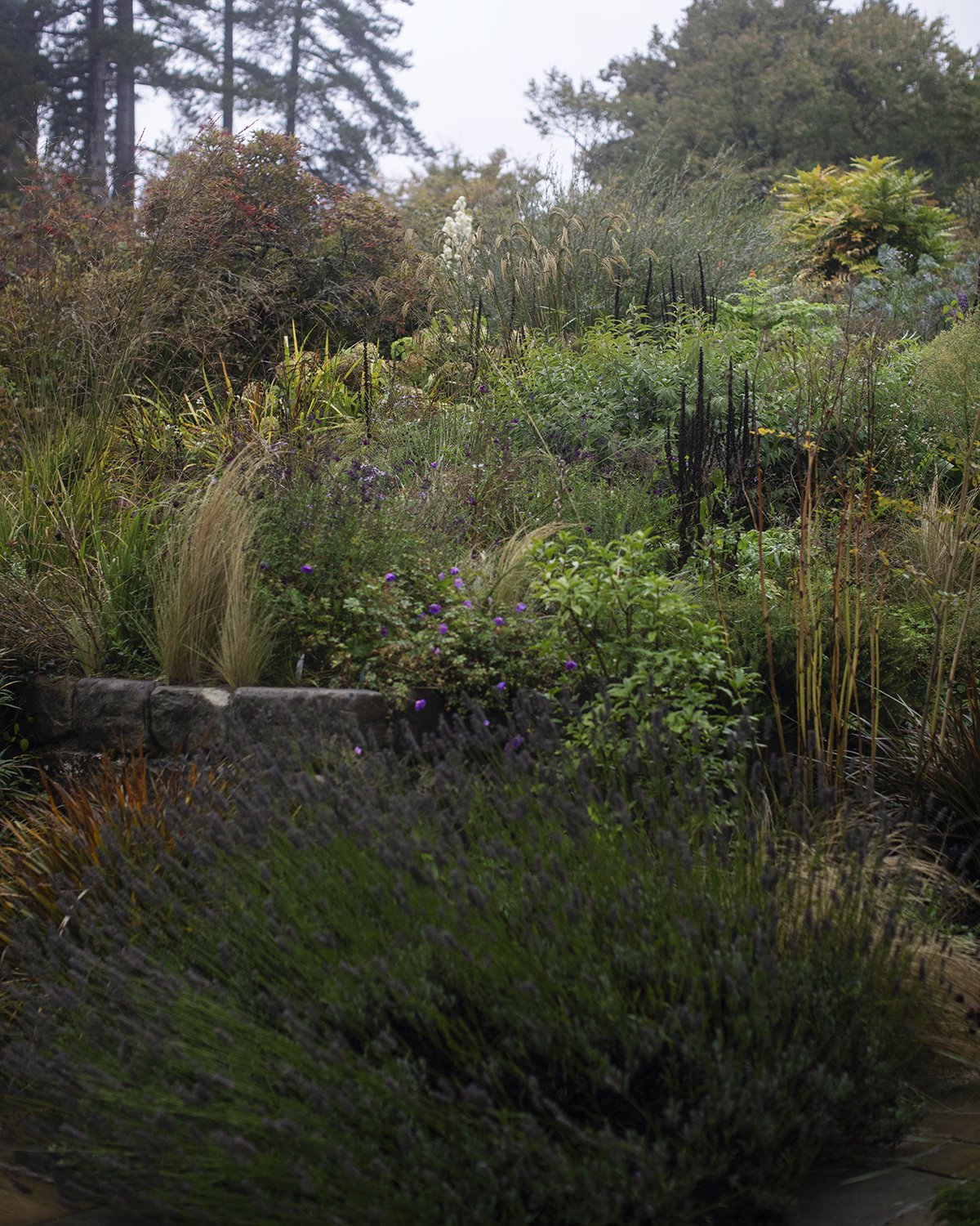 GravetyeManor_2025_091A5318.jpg