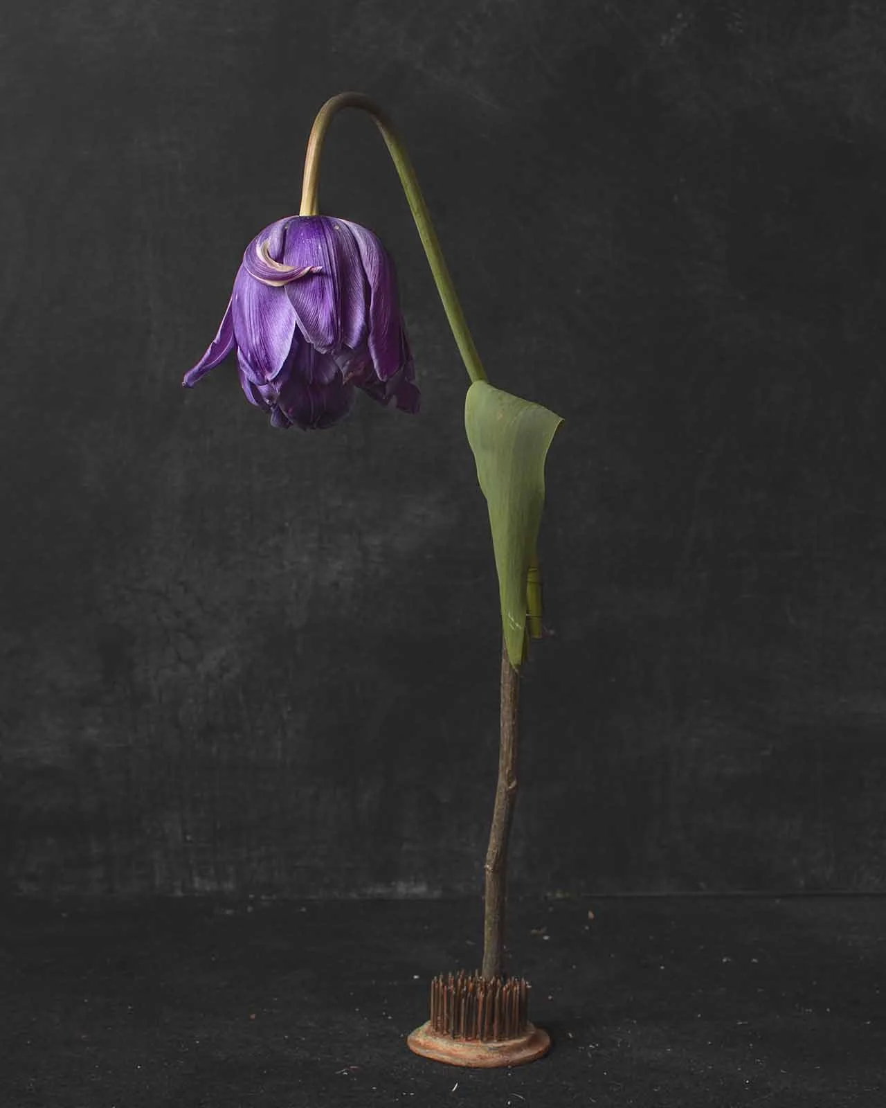 po 13 Sideshow I 2022 72x90cm 5+2ap.jpg