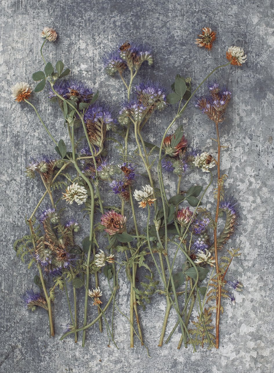 IG_BEE_KIND_vaalennettu_50x68cm_300dpi_mustat_mehiläiset_50x68_091A7828.jpg