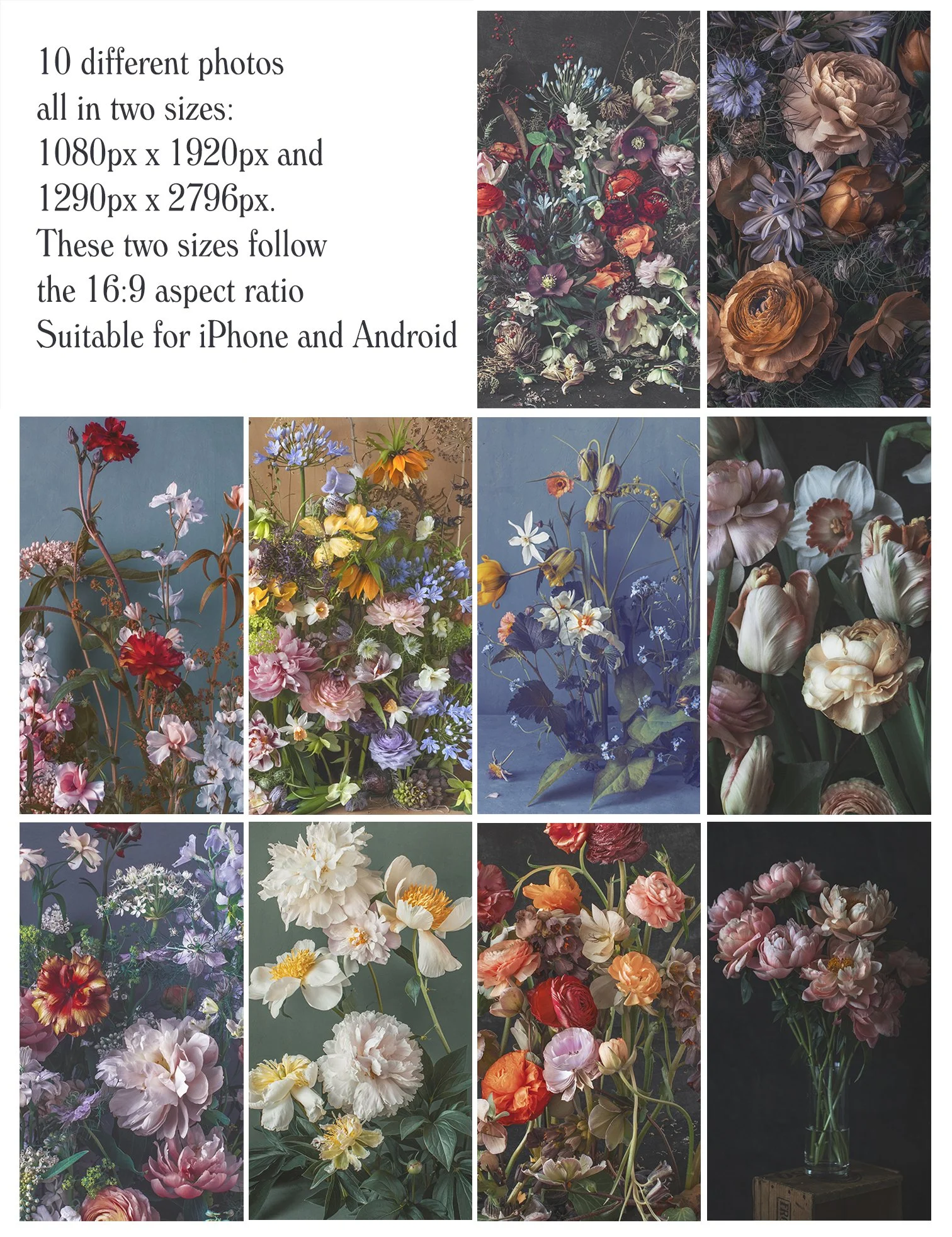 Winter Themed Phone Wallpapers Kreetta's flower photography on your phone's screen / Digital download