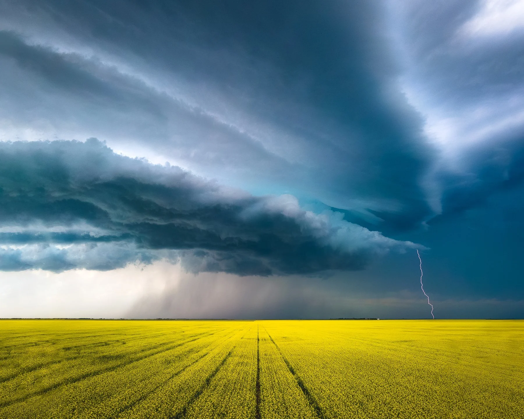 LONG TERM FORECASTS FOR LONG TERM PLANNING