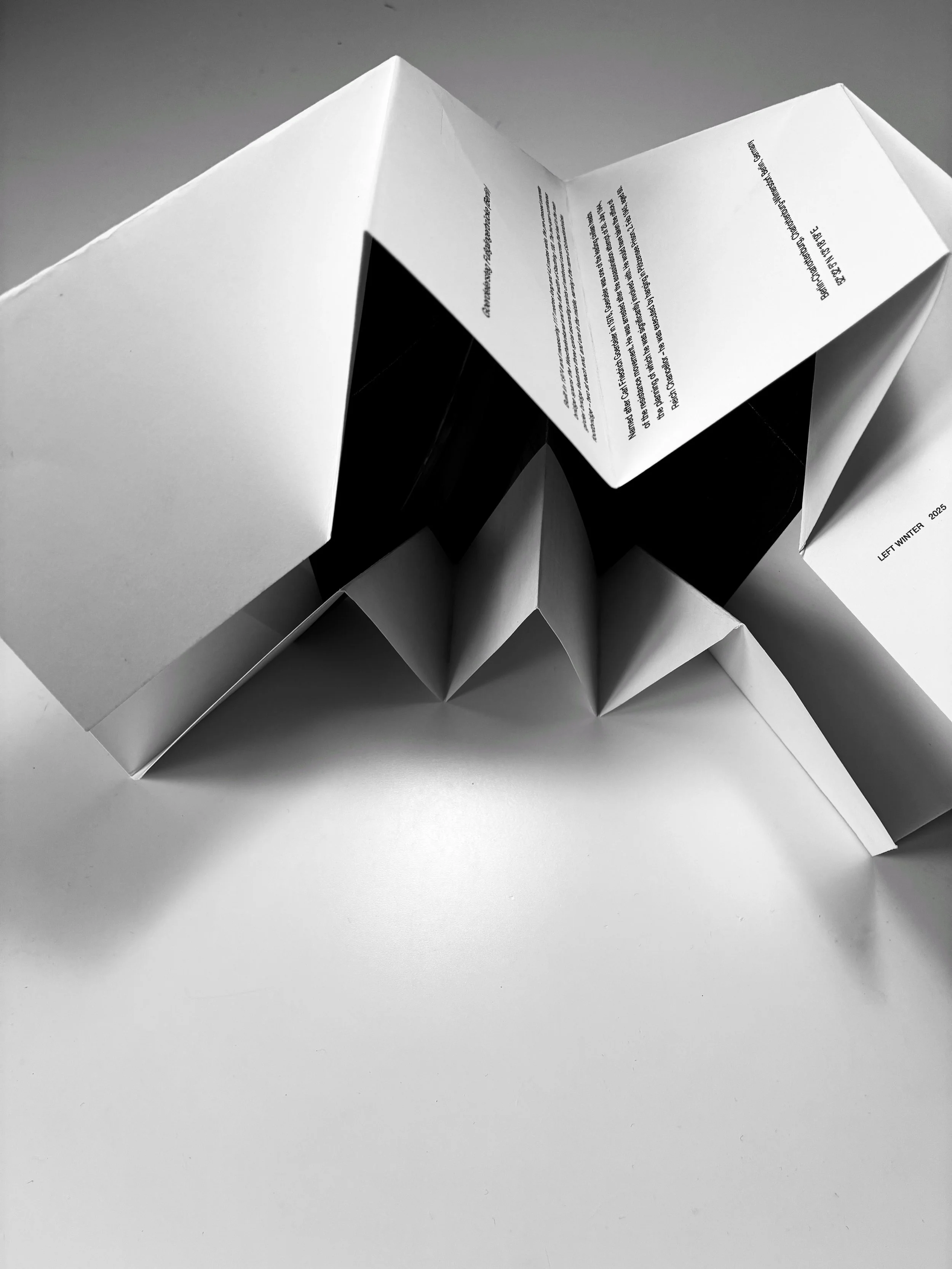 Black and white photo of folded paper models resembling birds or animals on a white surface.