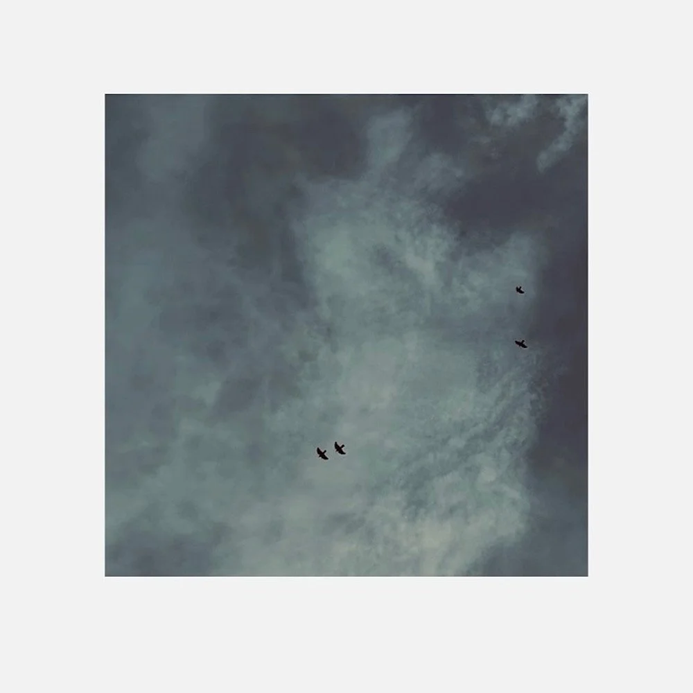 Sky with dark clouds and four birds flying.