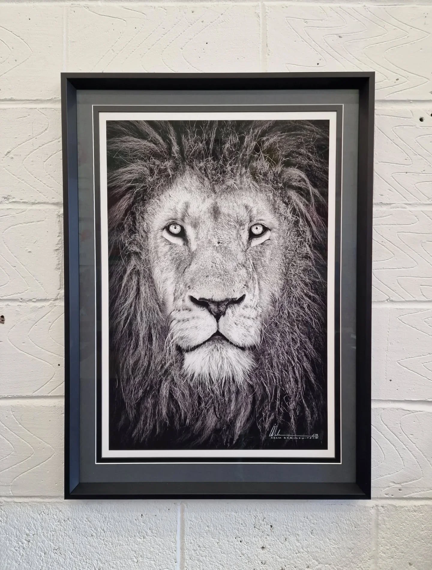 Straight out of Africa, these big cat photography prints are spectactular. Having previously framed a huge photography print of a zebra, by photographer @rabinography, we are well aware of the quality of his work.

#photography #pictureframing #bespo