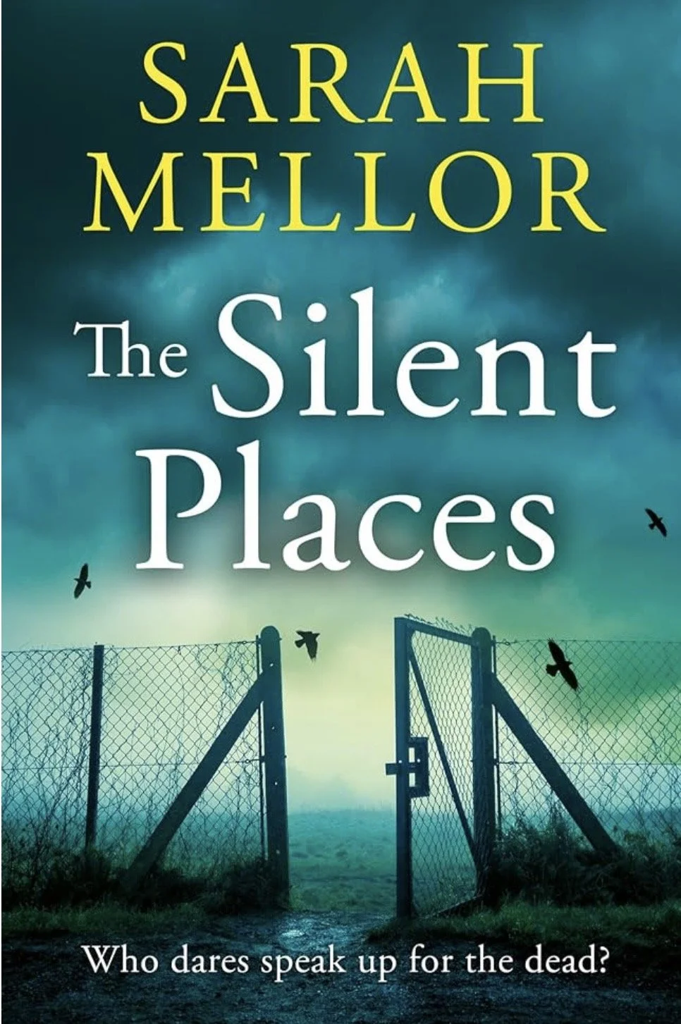 The Silent Places by Sarah Mellor